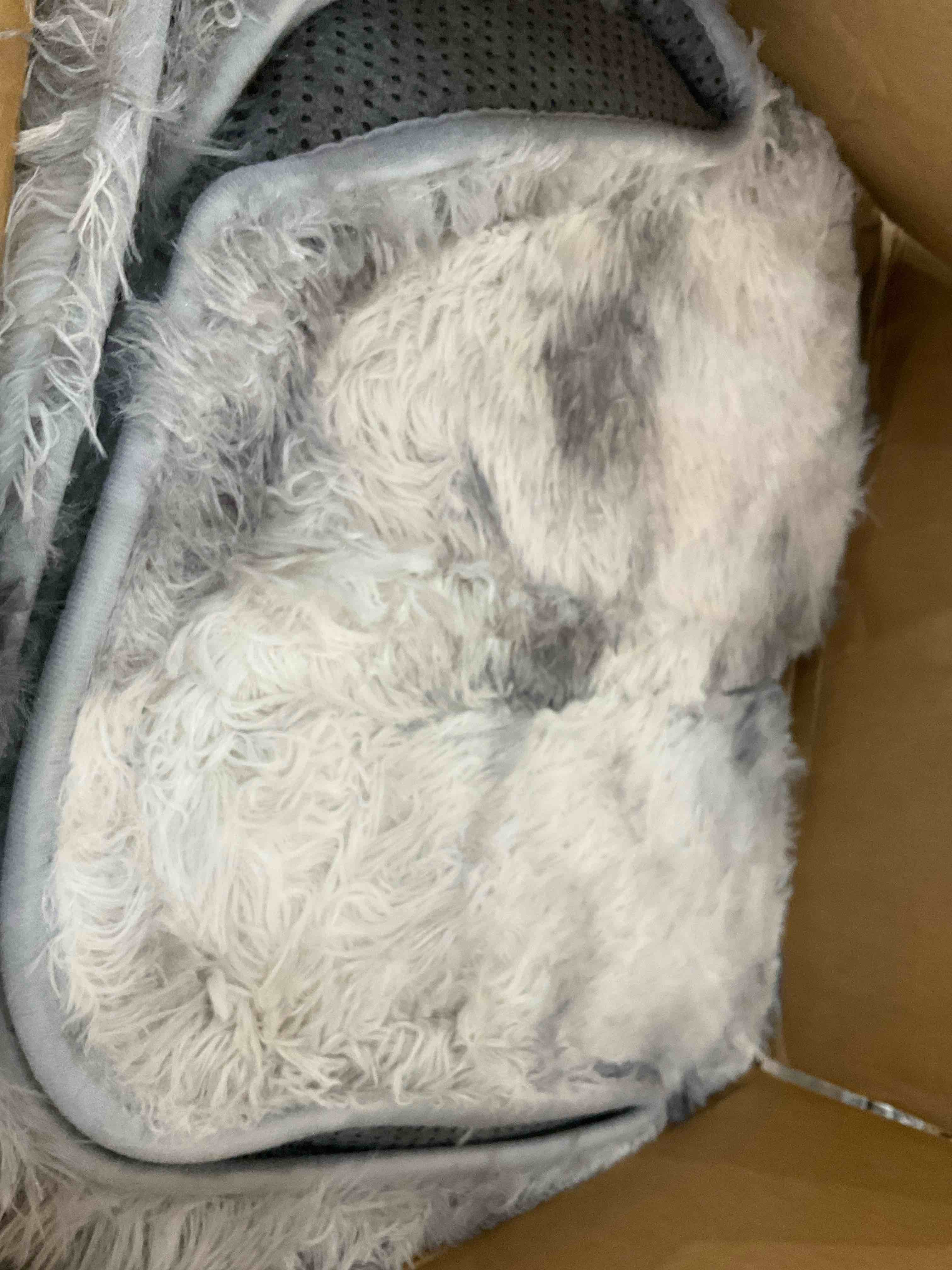 https://s3.amazonaws.com/lotting-images-prod/BargainHunt/EXS01440385_1717774330981.jpeg