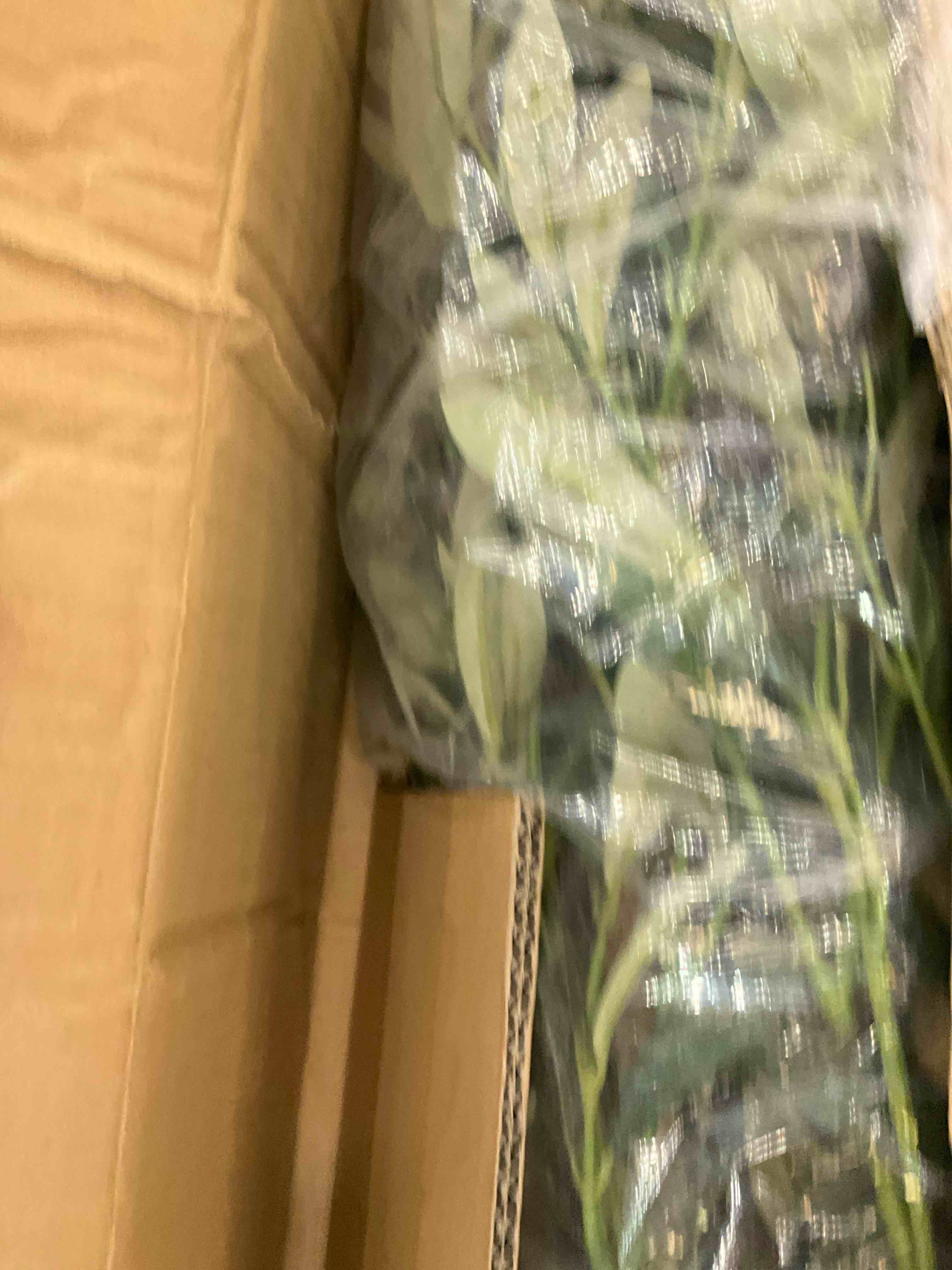 https://s3.amazonaws.com/lotting-images-prod/BargainHunt/EXS01446870_1717773092240.jpeg