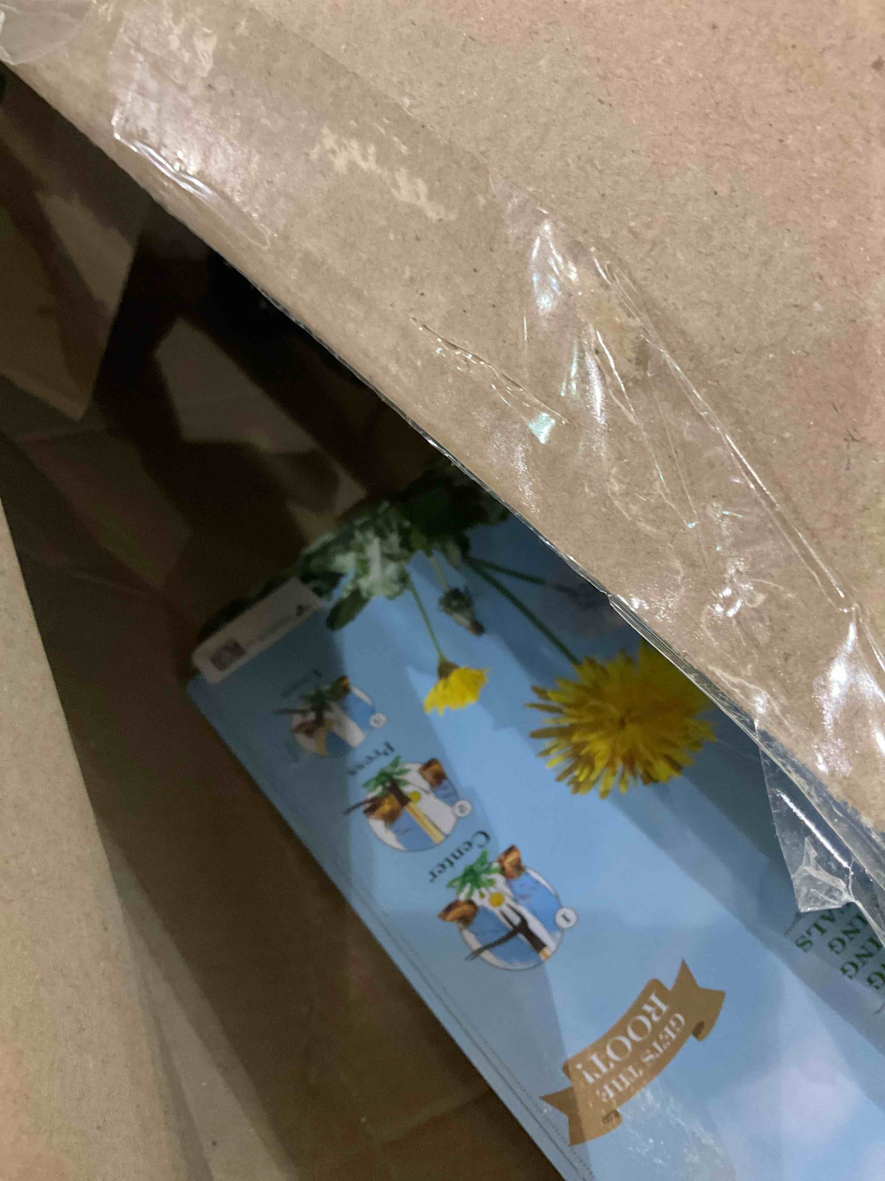 https://s3.amazonaws.com/lotting-images-prod/BargainHunt/EXS01479126_1717677151642.jpeg