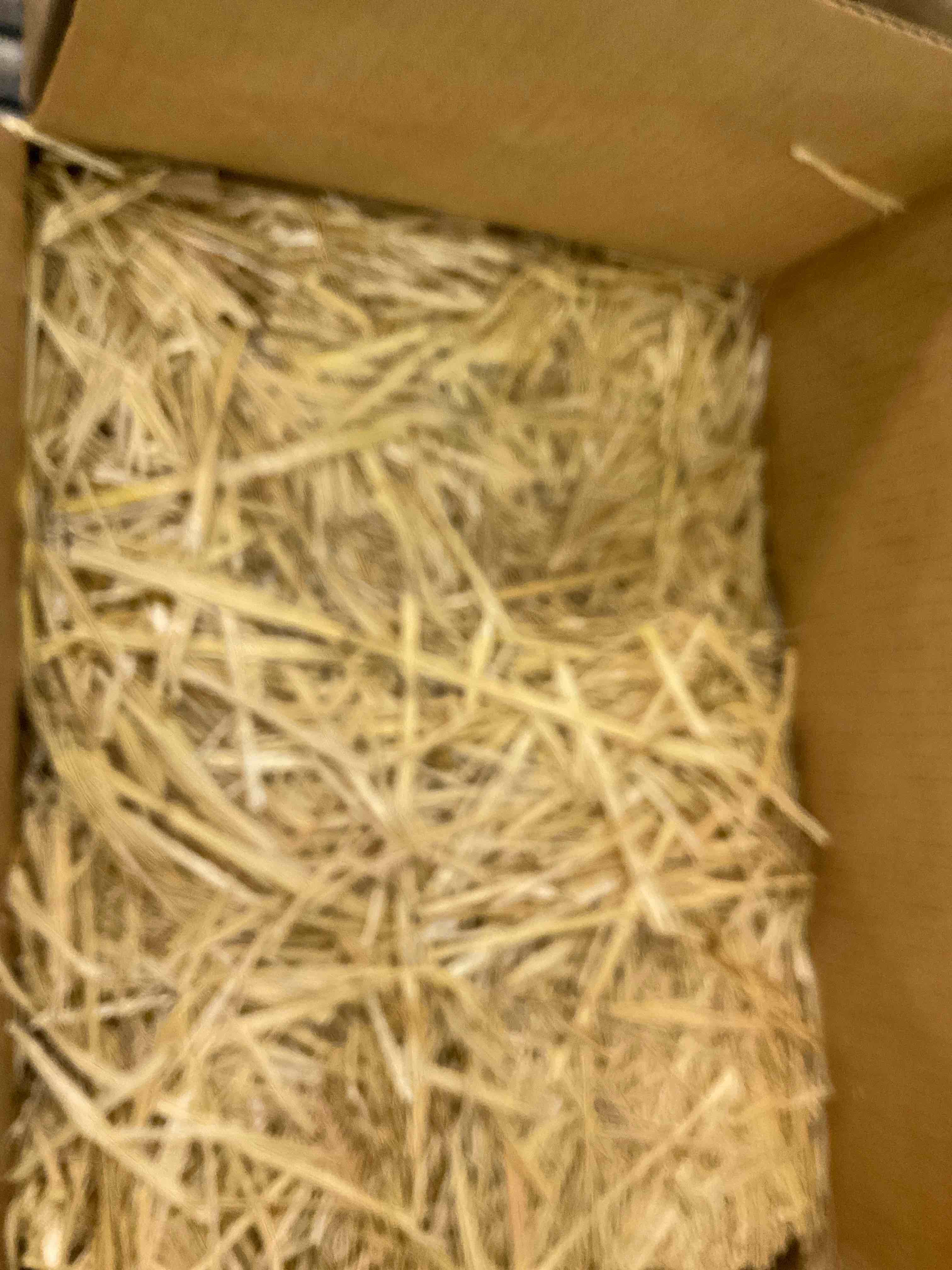 https://s3.amazonaws.com/lotting-images-prod/BargainHunt/EXS01490700_1717071494343.jpeg
