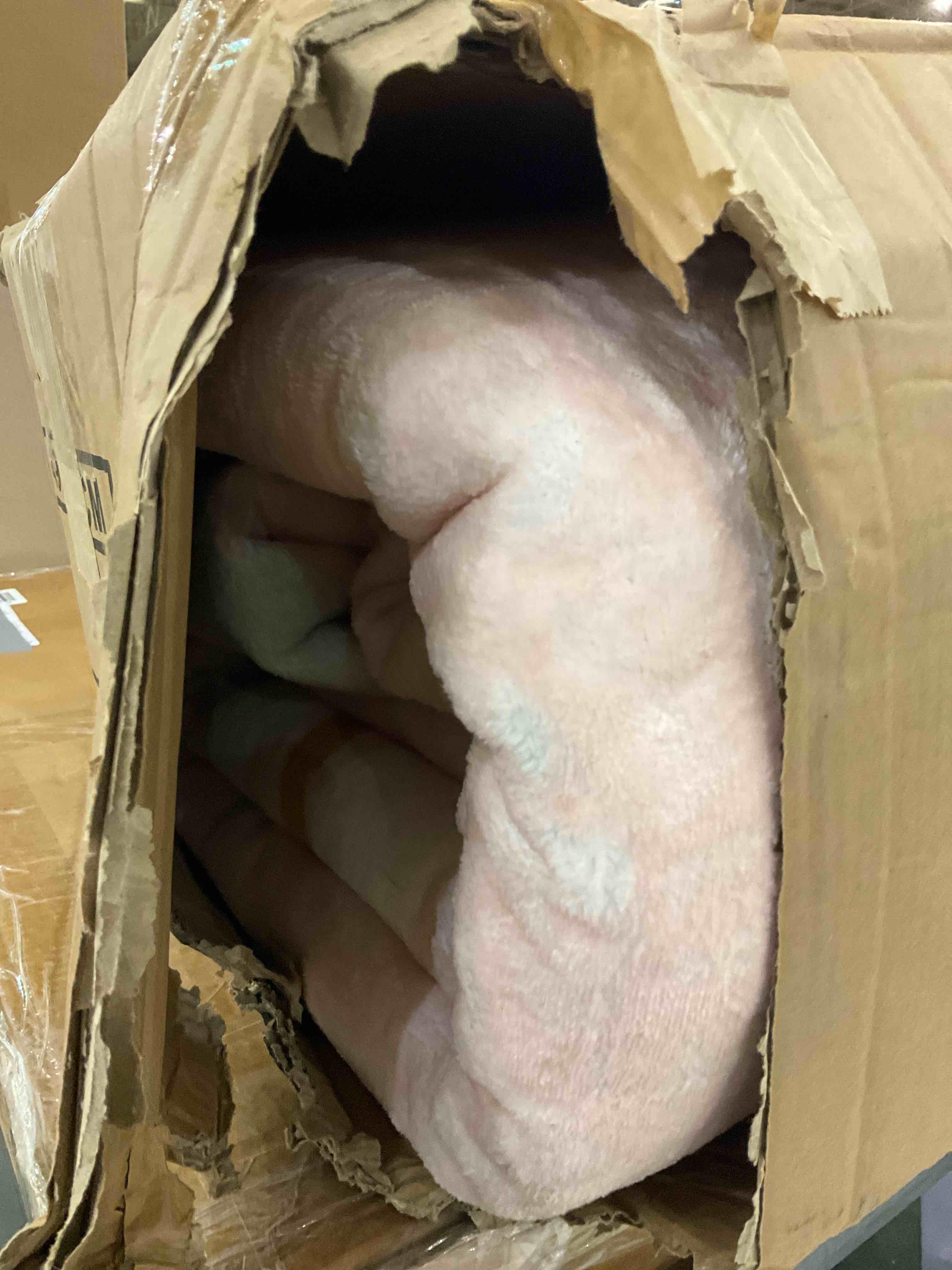 https://s3.amazonaws.com/lotting-images-prod/BargainHunt/EXS01503200_1715782860576.jpeg