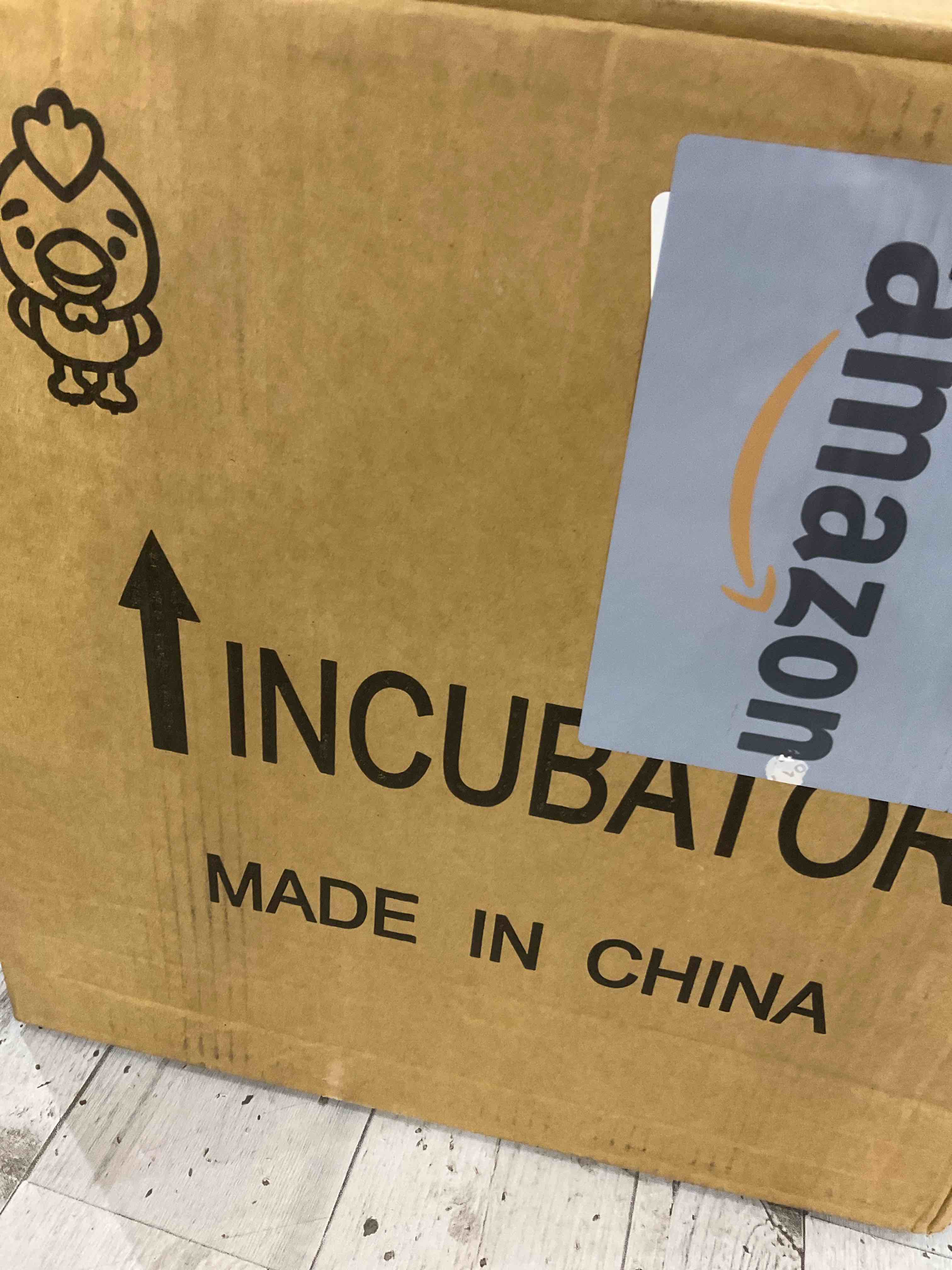 https://s3.amazonaws.com/lotting-images-prod/BargainHunt/EXS01504679_1716897603619.jpeg
