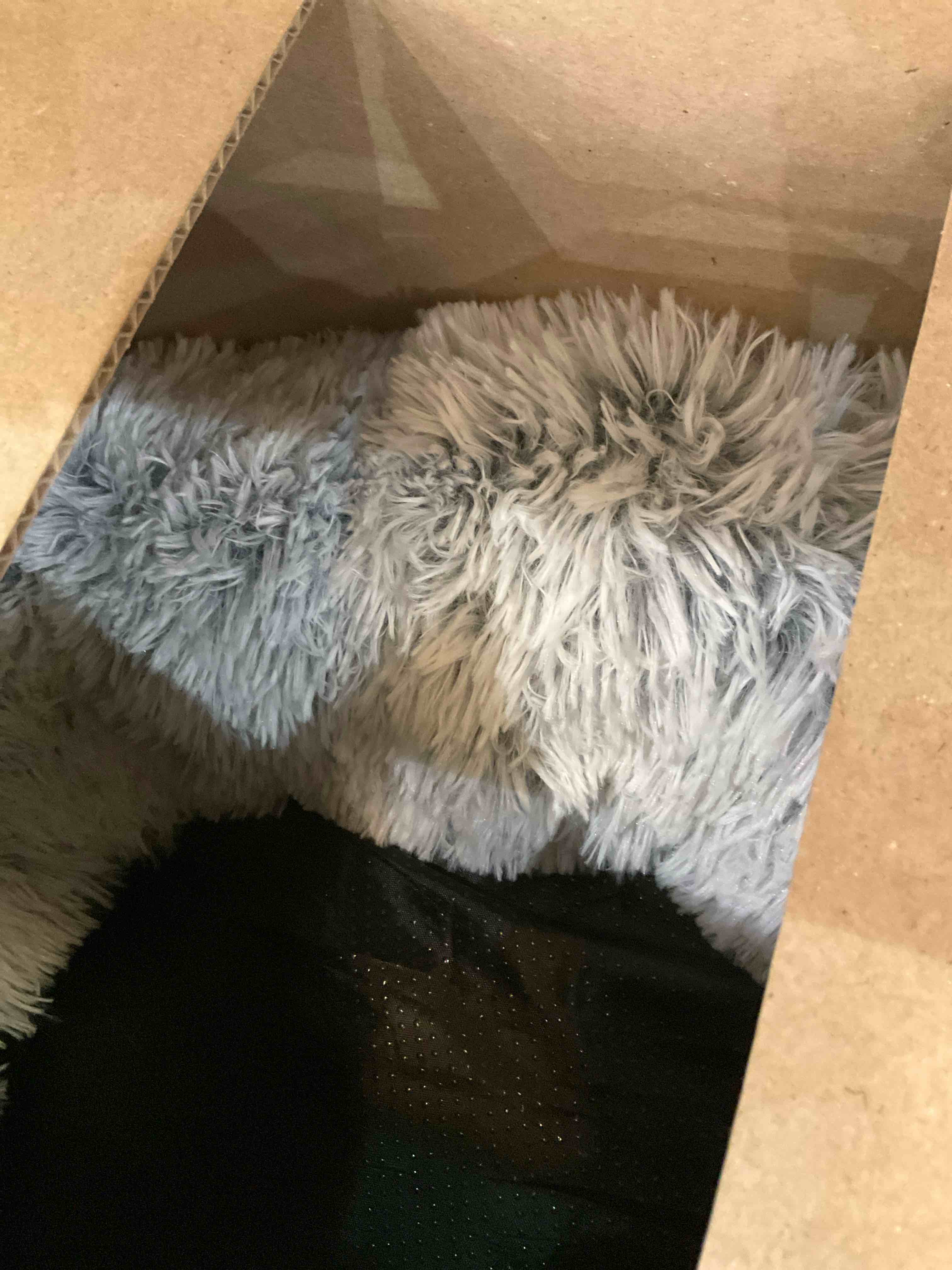https://s3.amazonaws.com/lotting-images-prod/BargainHunt/EXS01505613_1717613112526.jpeg
