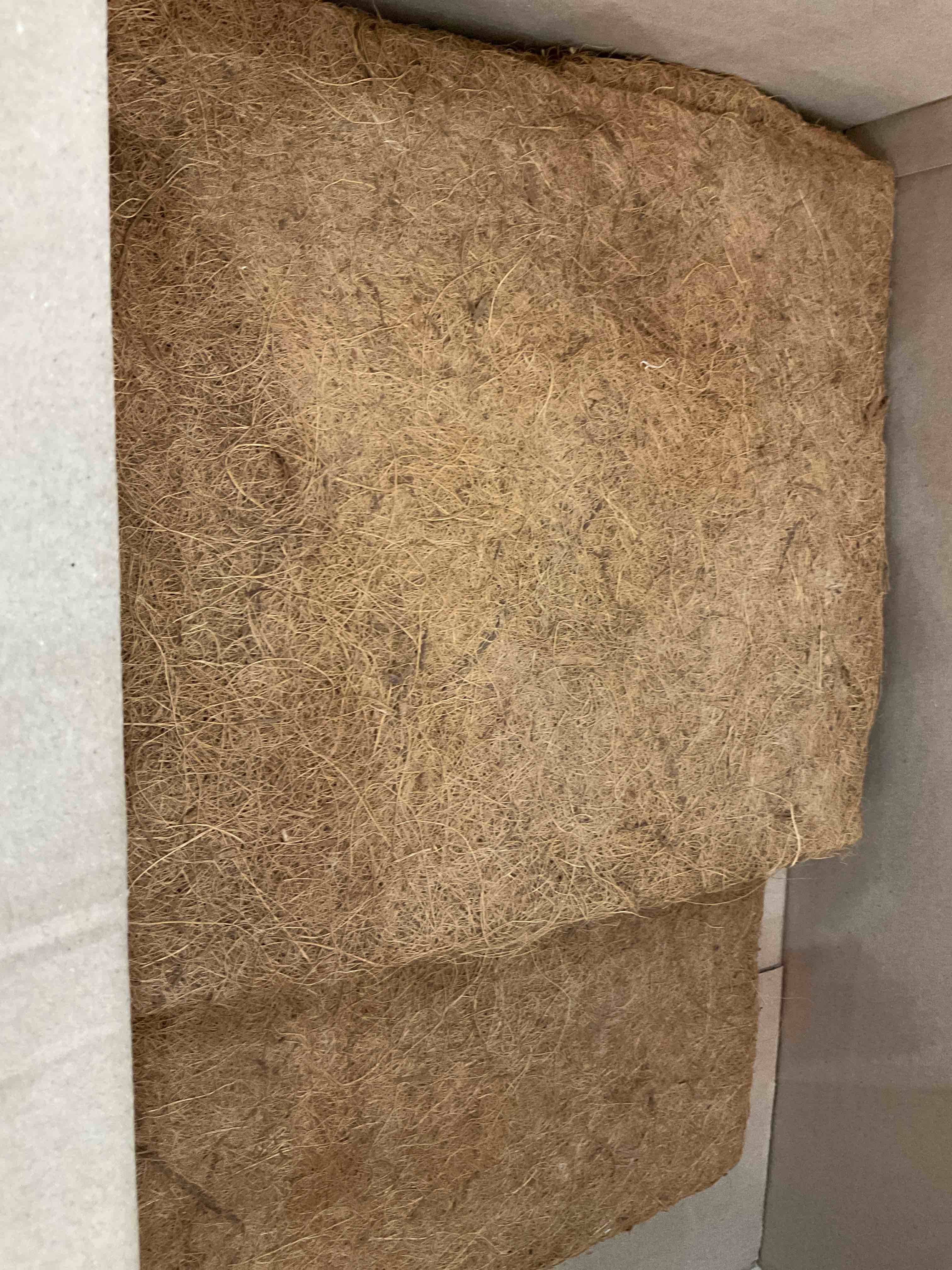 https://s3.amazonaws.com/lotting-images-prod/BargainHunt/EXS01508019_1717004142139.jpeg