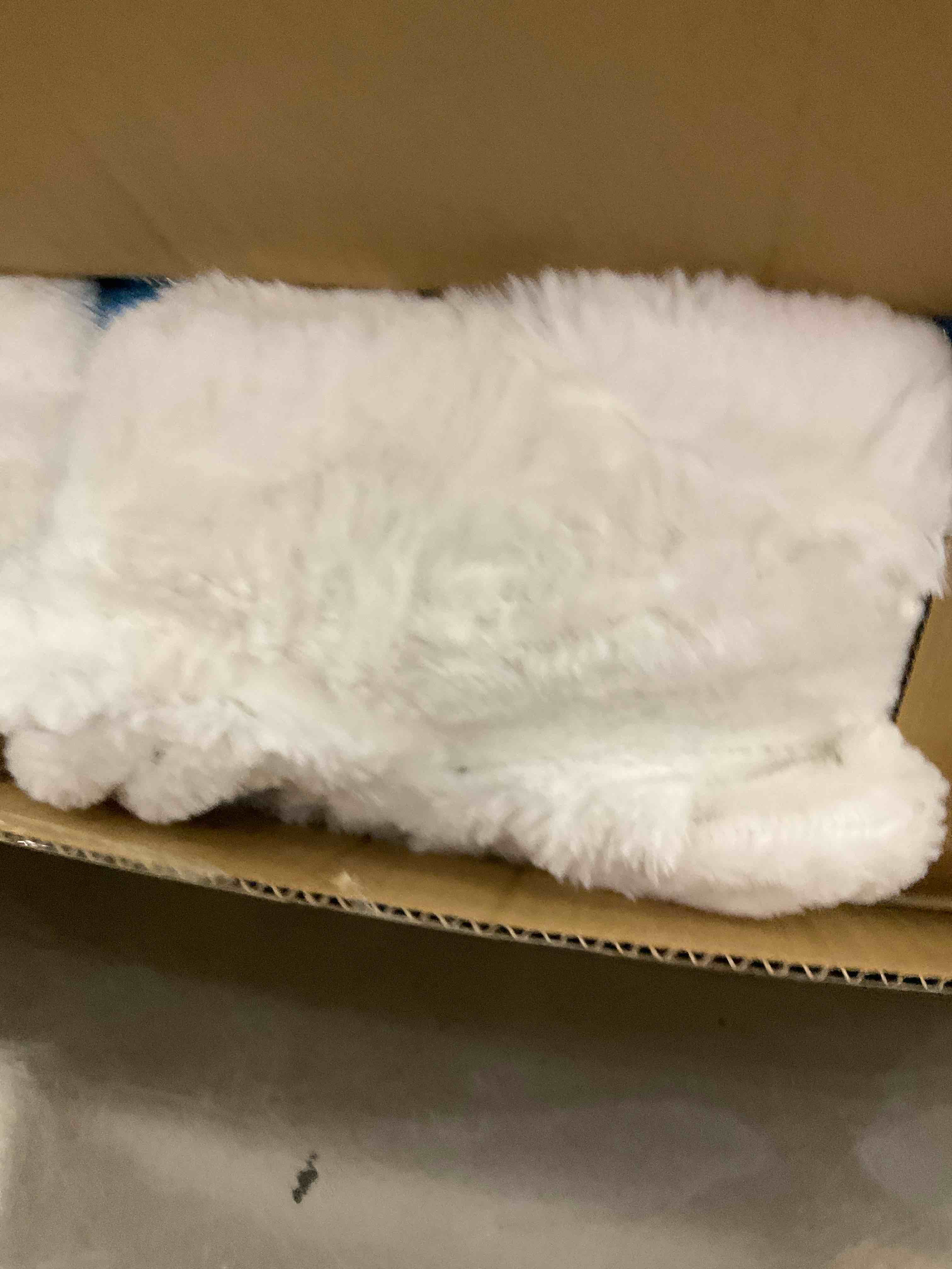 https://s3.amazonaws.com/lotting-images-prod/BargainHunt/EXS01511528_1716989333385.jpeg