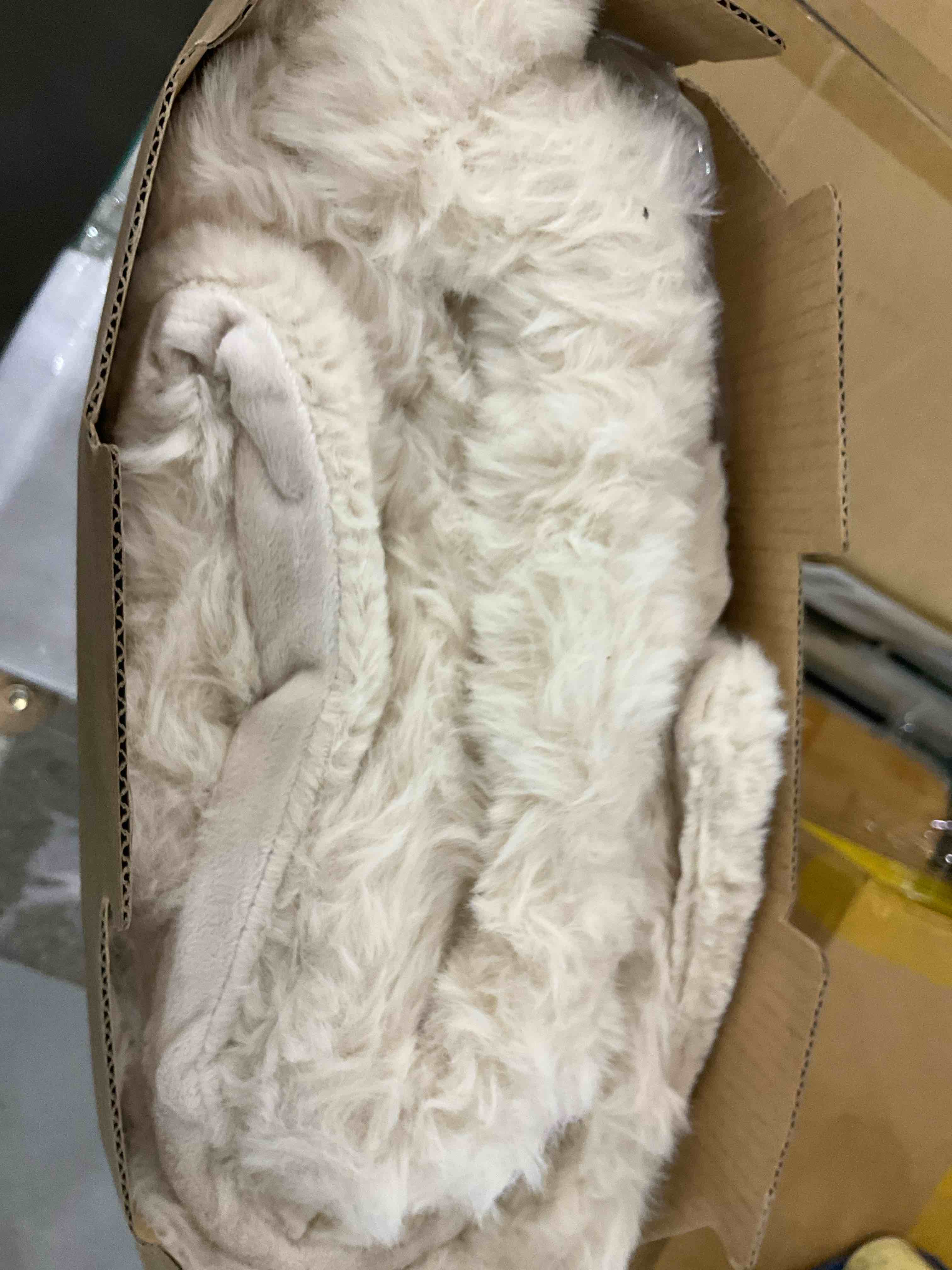 X00431977X Cozy Bliss Faux Fur T..,50 * 60 Inches Beige New