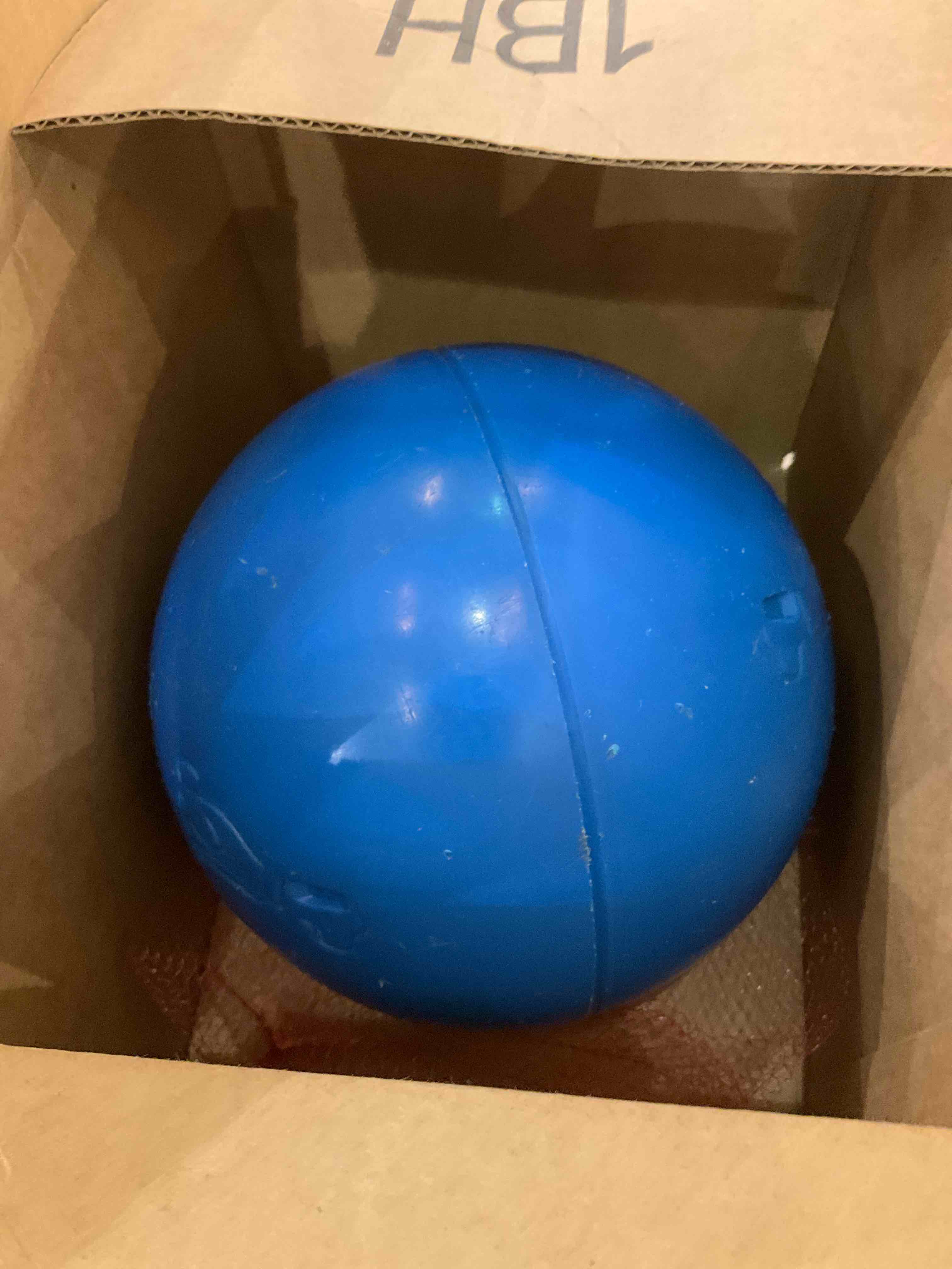 https://s3.amazonaws.com/lotting-images-prod/BargainHunt/EXS01519466_1716904937287.jpeg