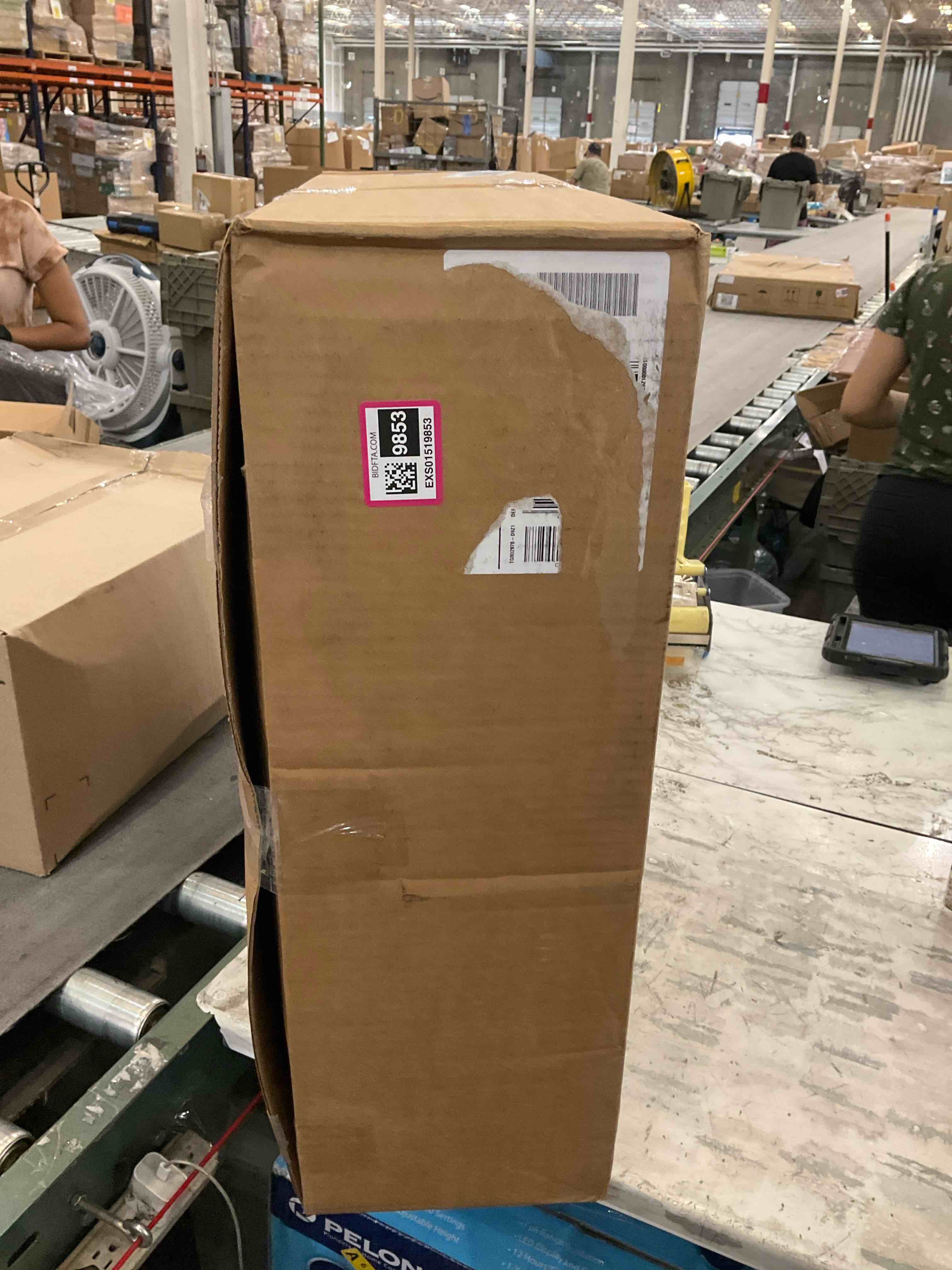 https://s3.amazonaws.com/lotting-images-prod/BargainHunt/EXS01519853_1717083780894.jpeg