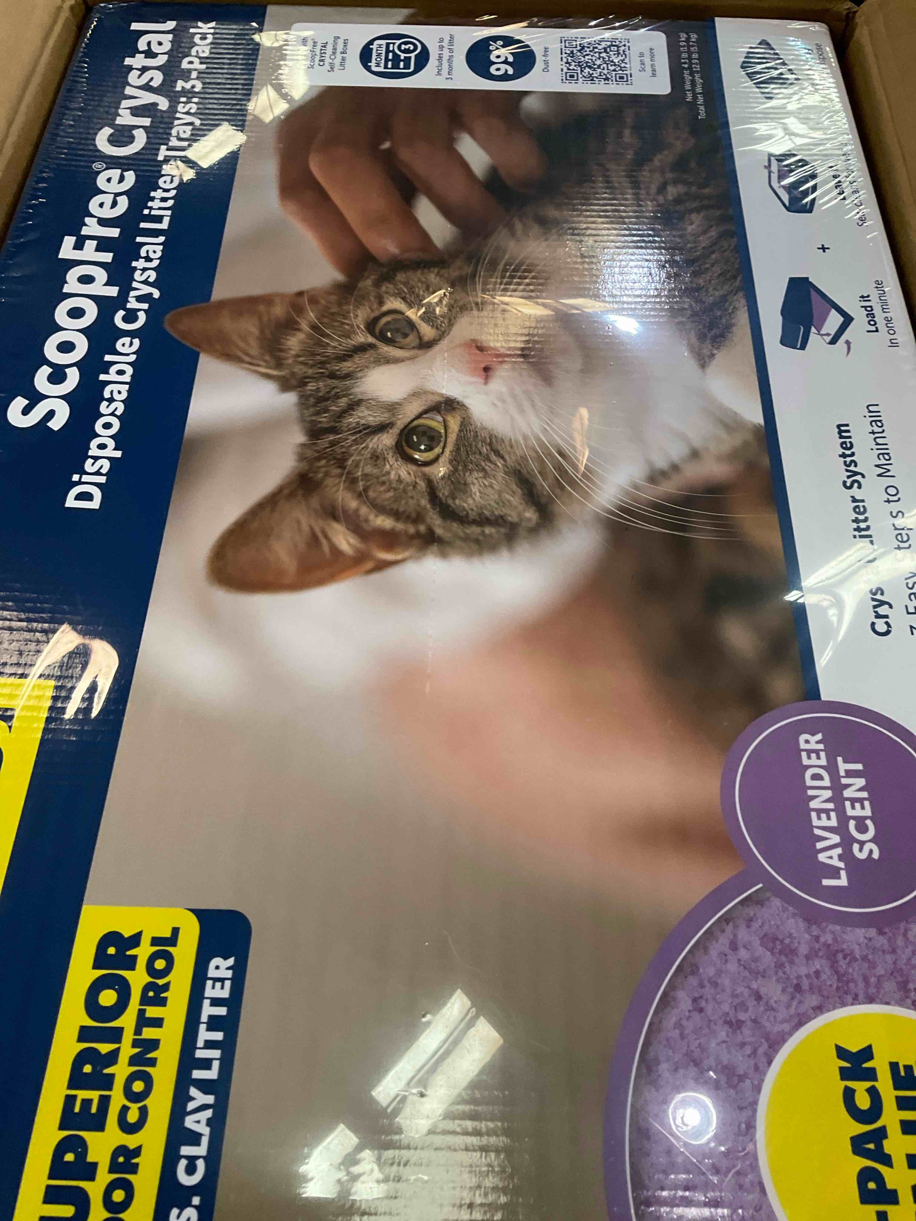 https://s3.amazonaws.com/lotting-images-prod/BargainHunt/EXS01526455_1713891373914.jpeg