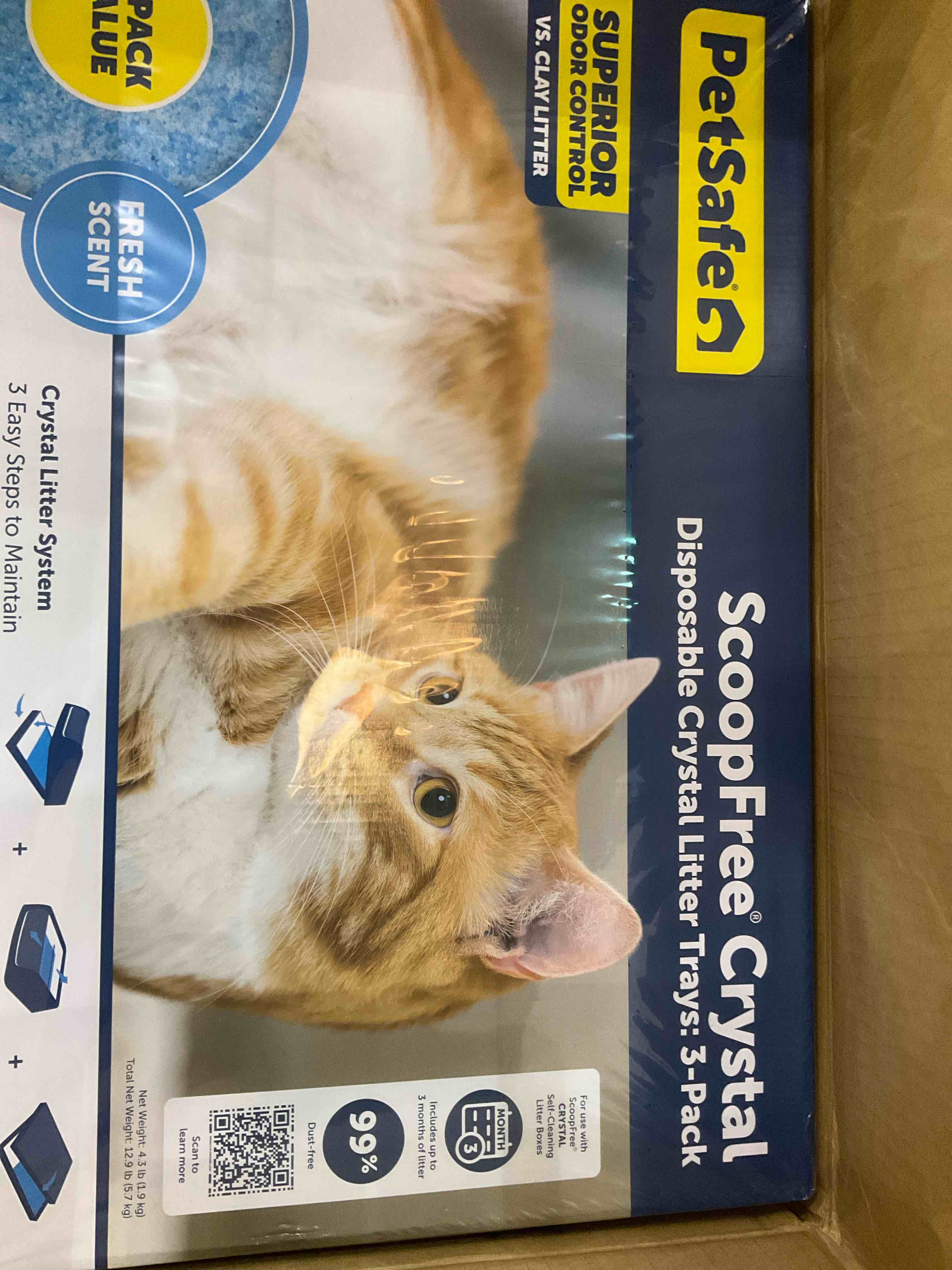 https://s3.amazonaws.com/lotting-images-prod/BargainHunt/EXS01527088_1716381441428.jpeg
