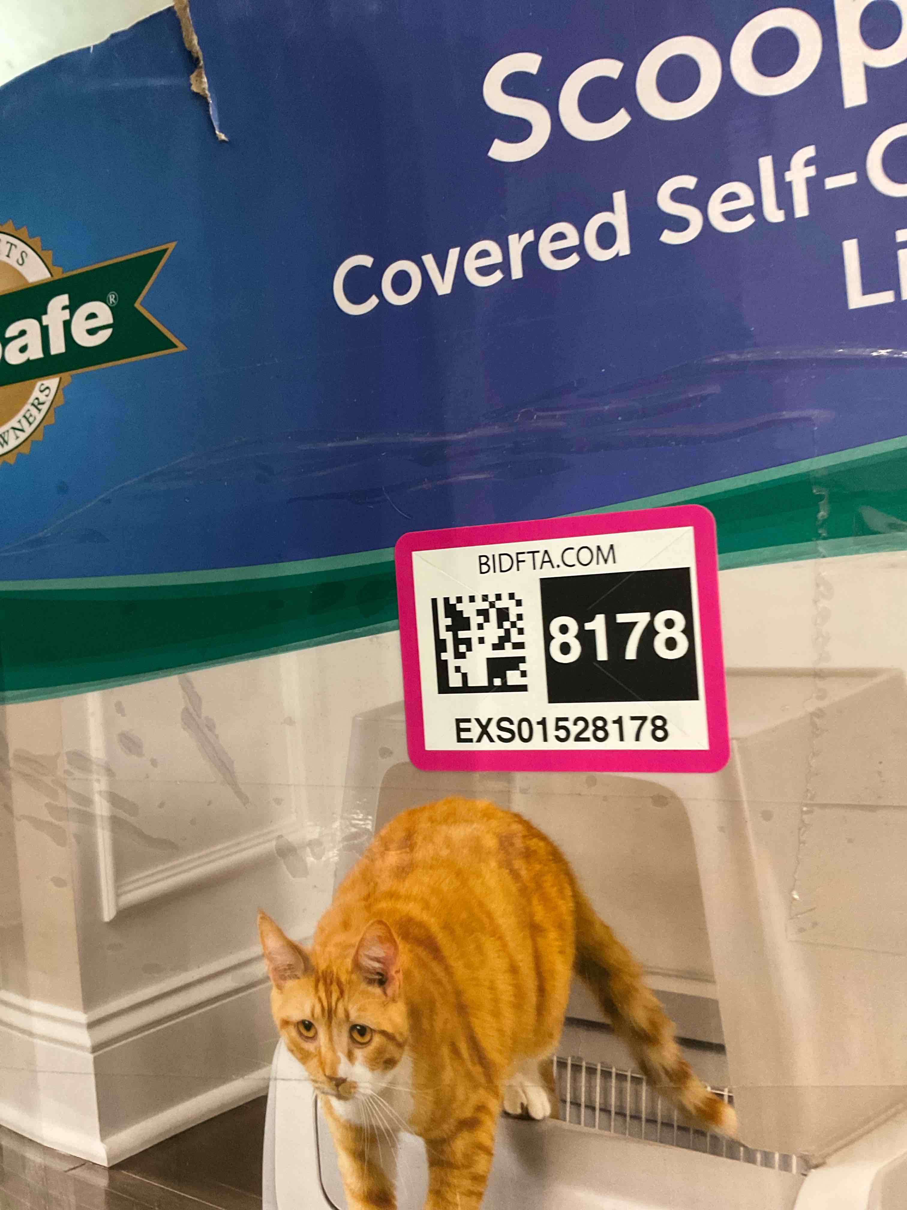 https://s3.amazonaws.com/lotting-images-prod/BargainHunt/EXS01528178_1715002941506.jpeg