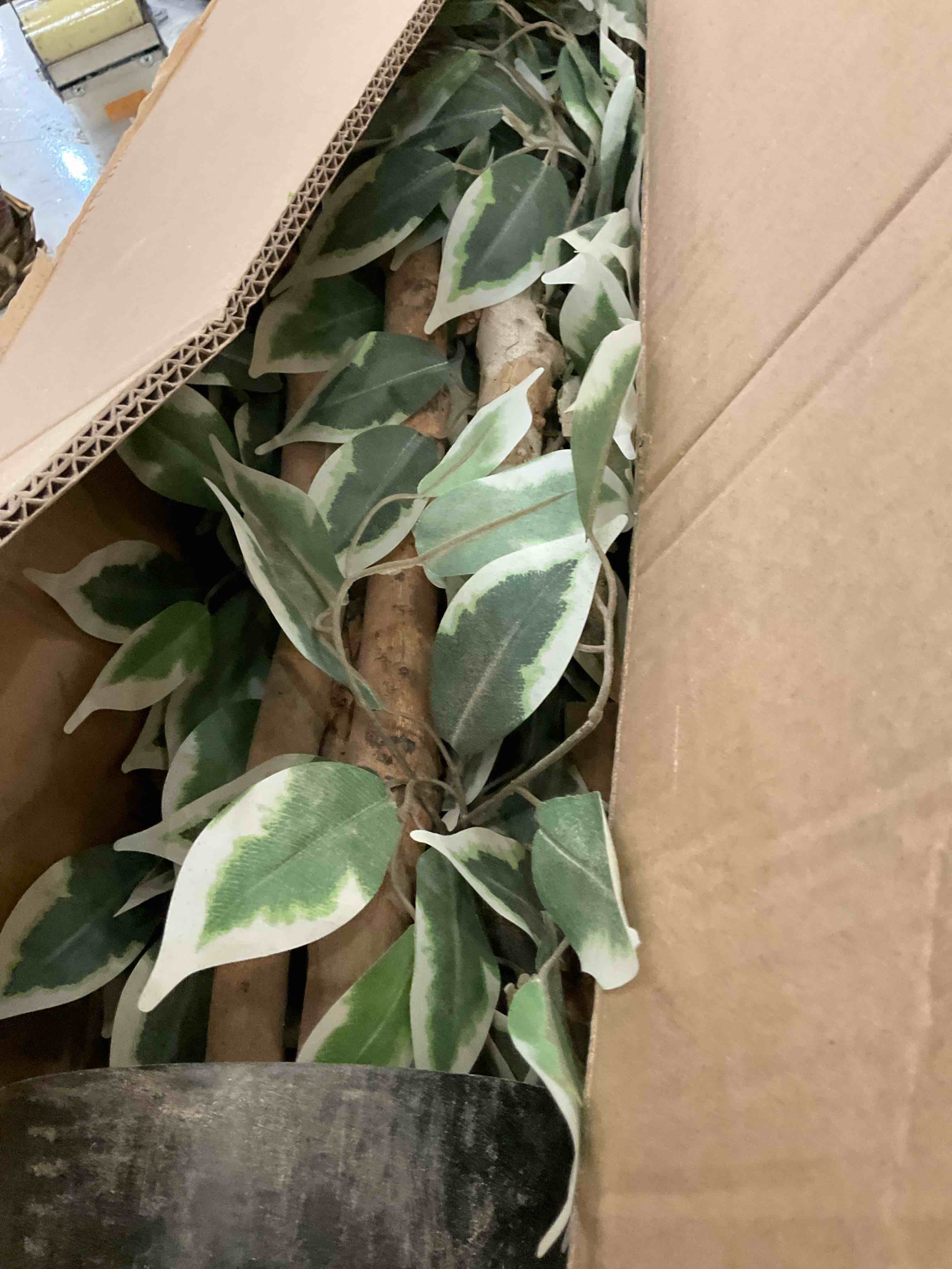https://s3.amazonaws.com/lotting-images-prod/BargainHunt/EXS01541872_1715797851533.jpeg