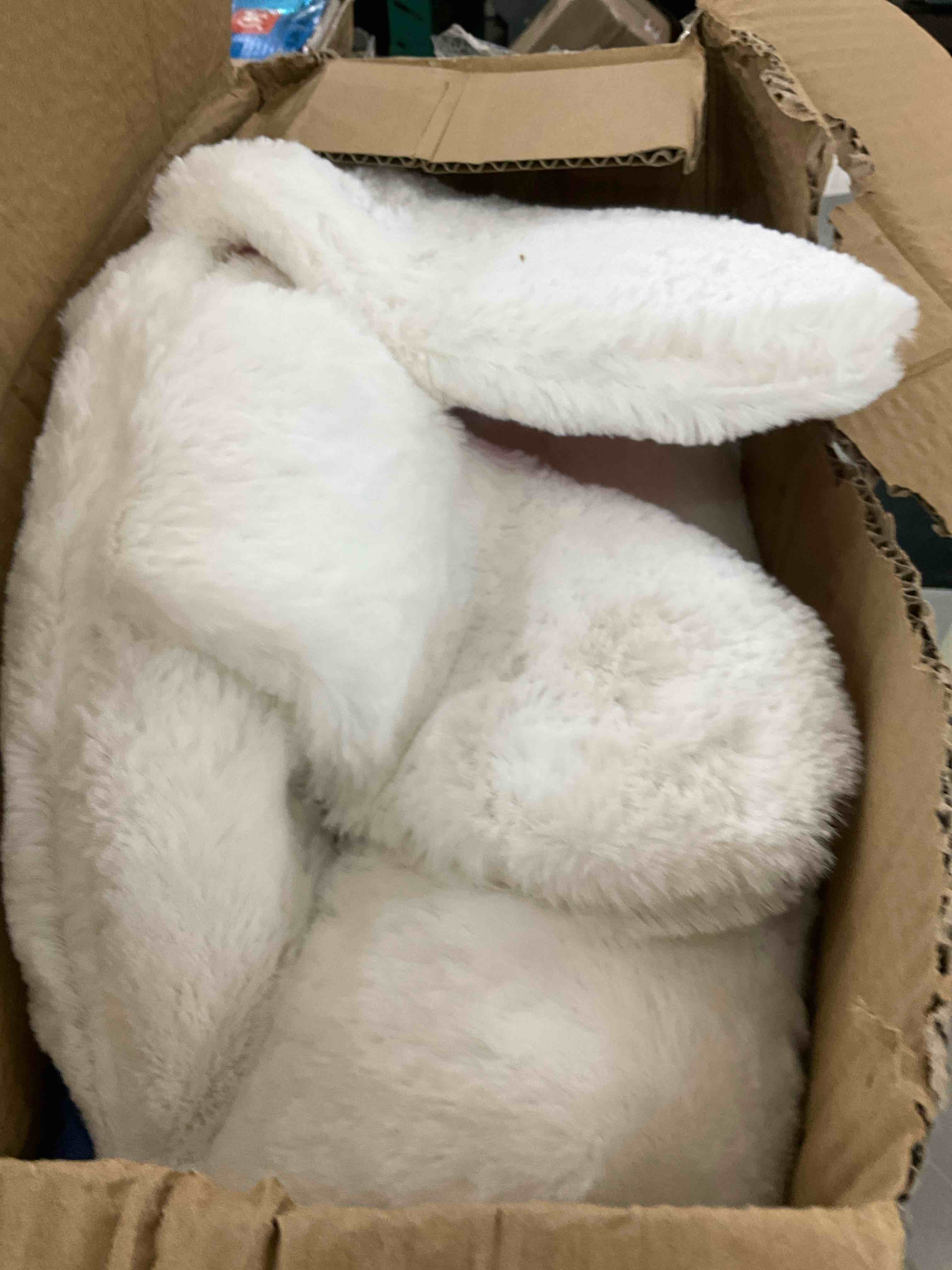 https://s3.amazonaws.com/lotting-images-prod/BargainHunt/EXS01546296_1714575873804.jpeg