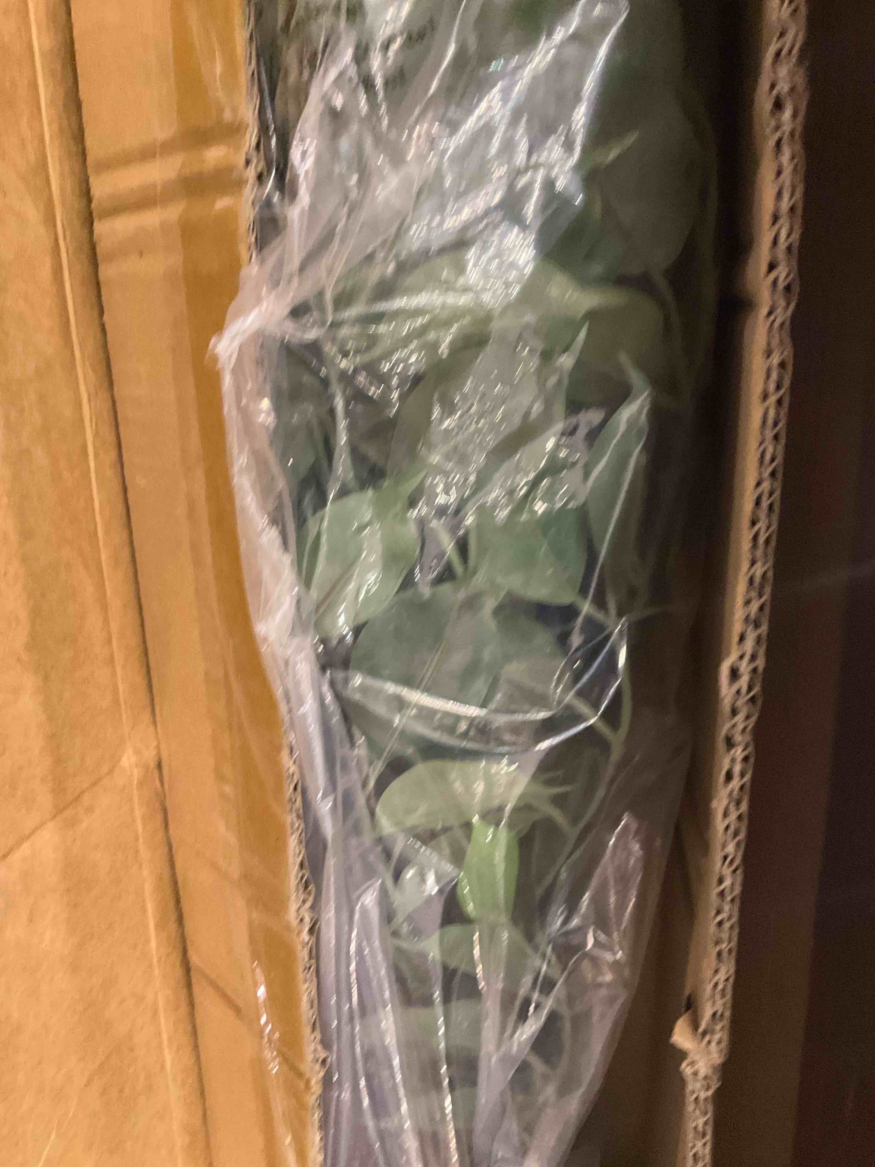https://s3.amazonaws.com/lotting-images-prod/BargainHunt/EXS01549494_1715867553476.jpeg
