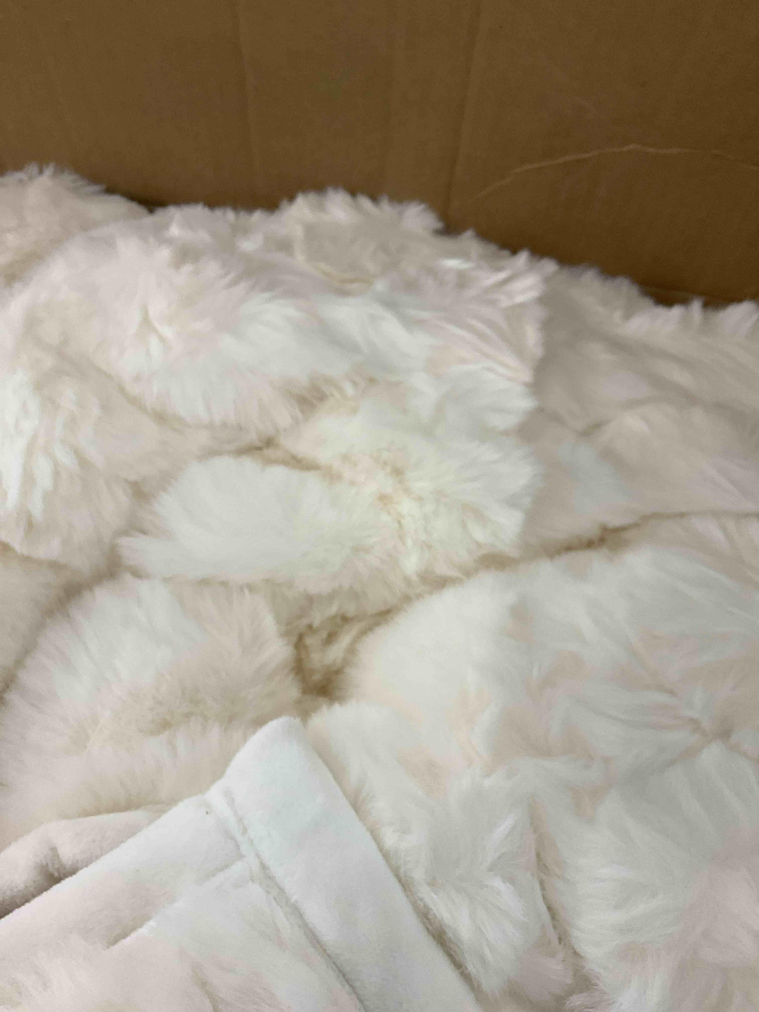 https://s3.amazonaws.com/lotting-images-prod/BargainHunt/EXS01551349_1715351099355.jpeg