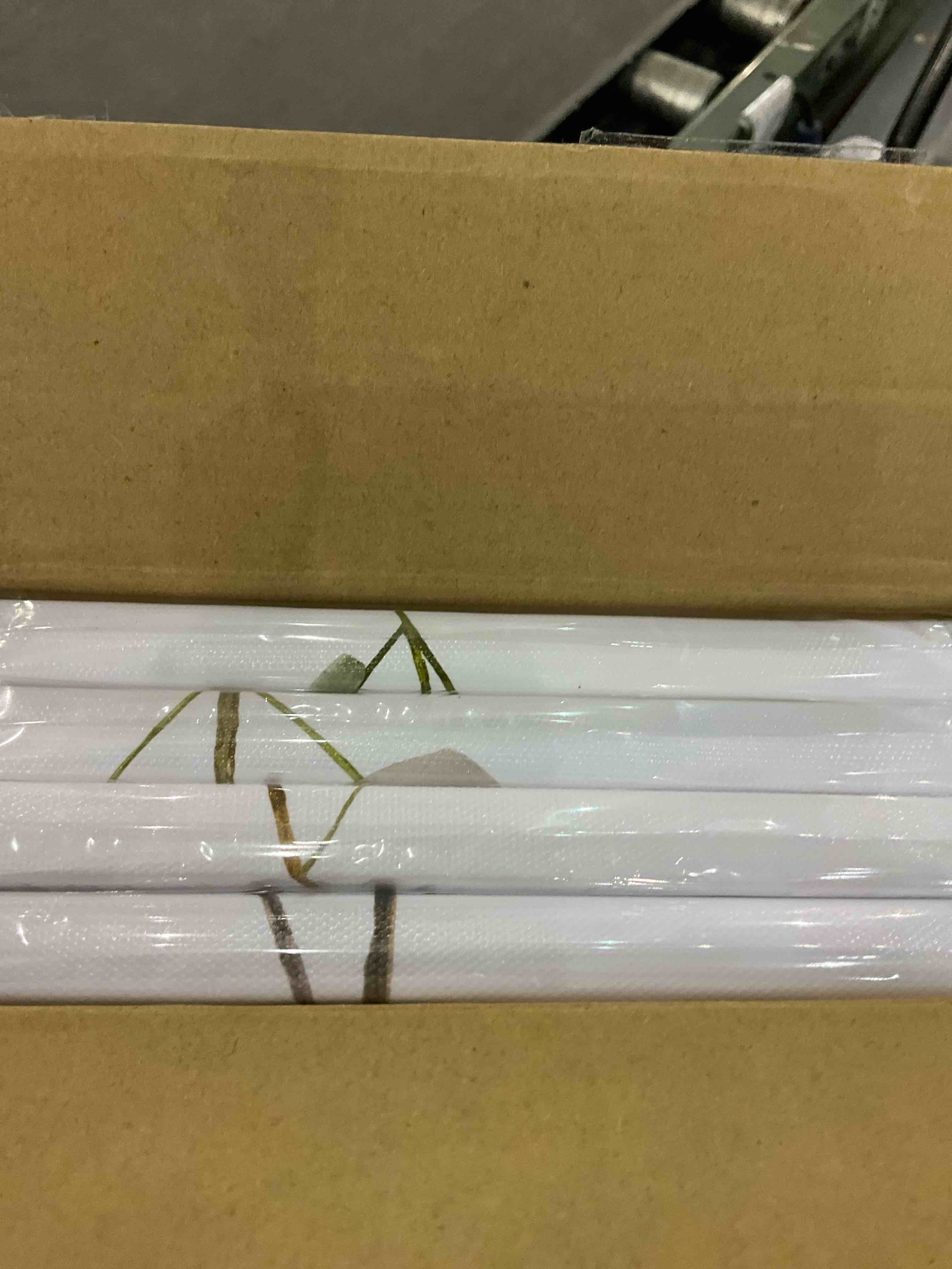 https://s3.amazonaws.com/lotting-images-prod/BargainHunt/EXS01556524_1714736638066.jpeg