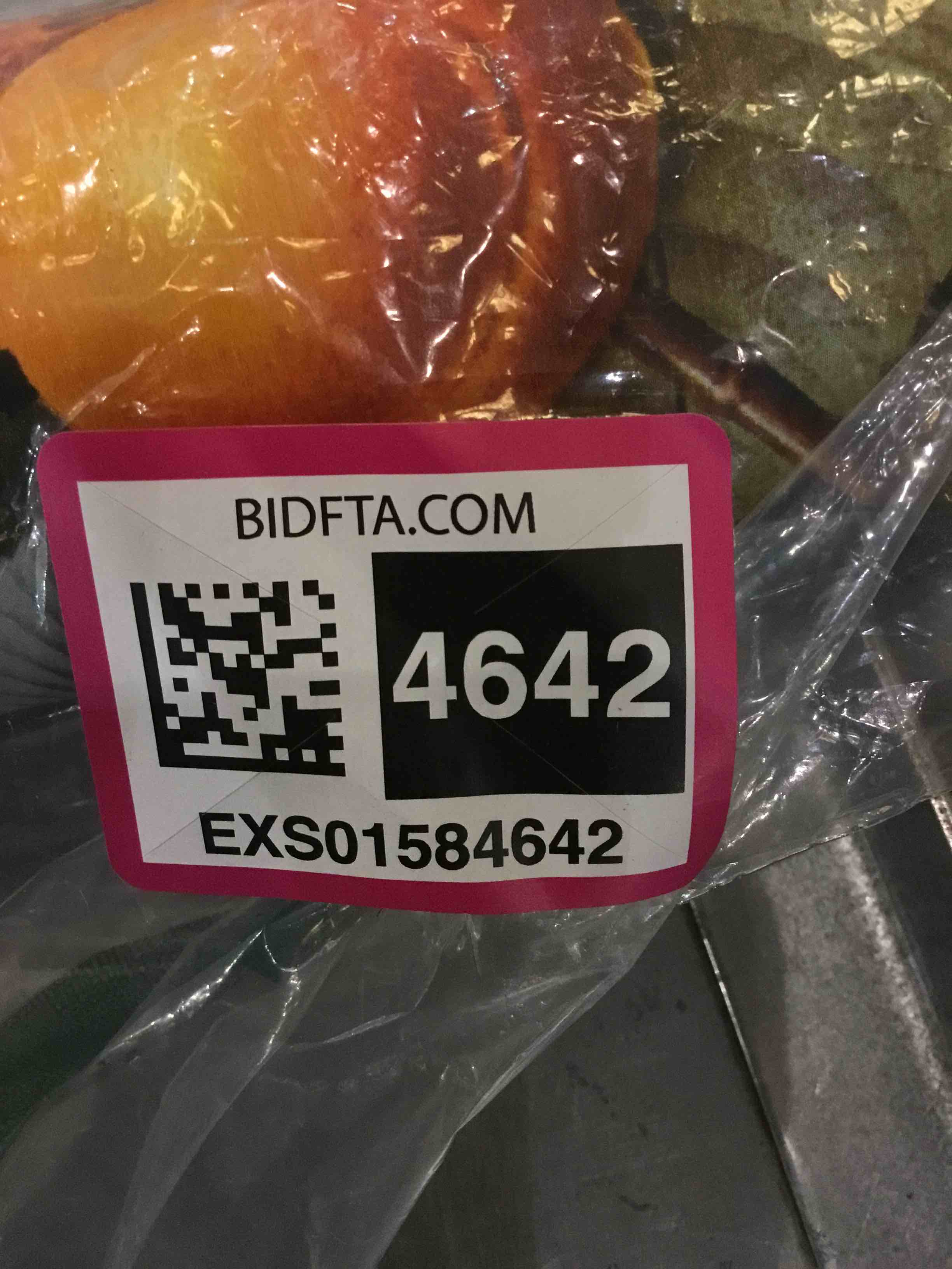 https://s3.amazonaws.com/lotting-images-prod/BargainHunt/EXS01584642_1713965871198.jpeg
