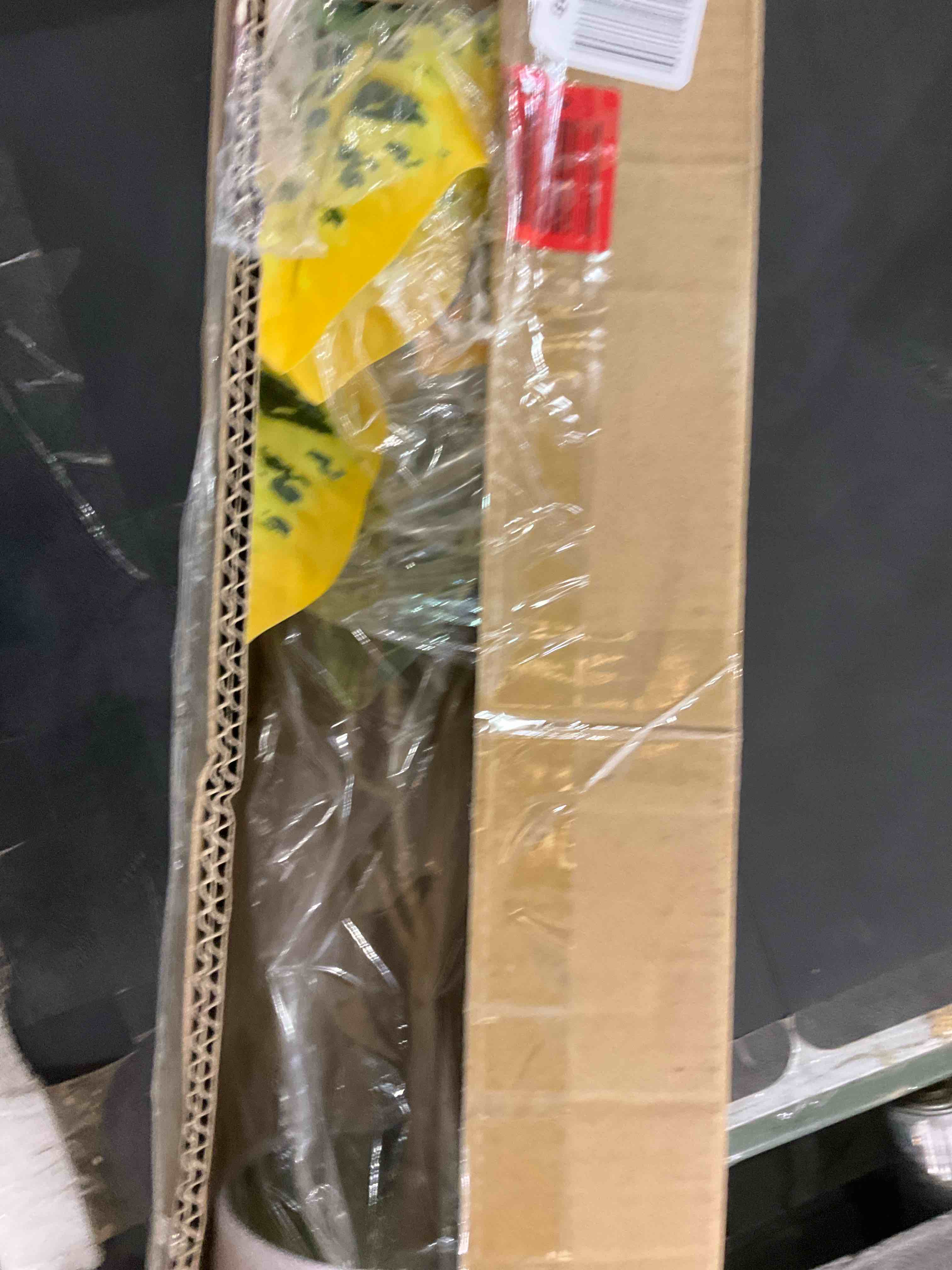 https://s3.amazonaws.com/lotting-images-prod/BargainHunt/EXS01594605_1720527350319.jpeg
