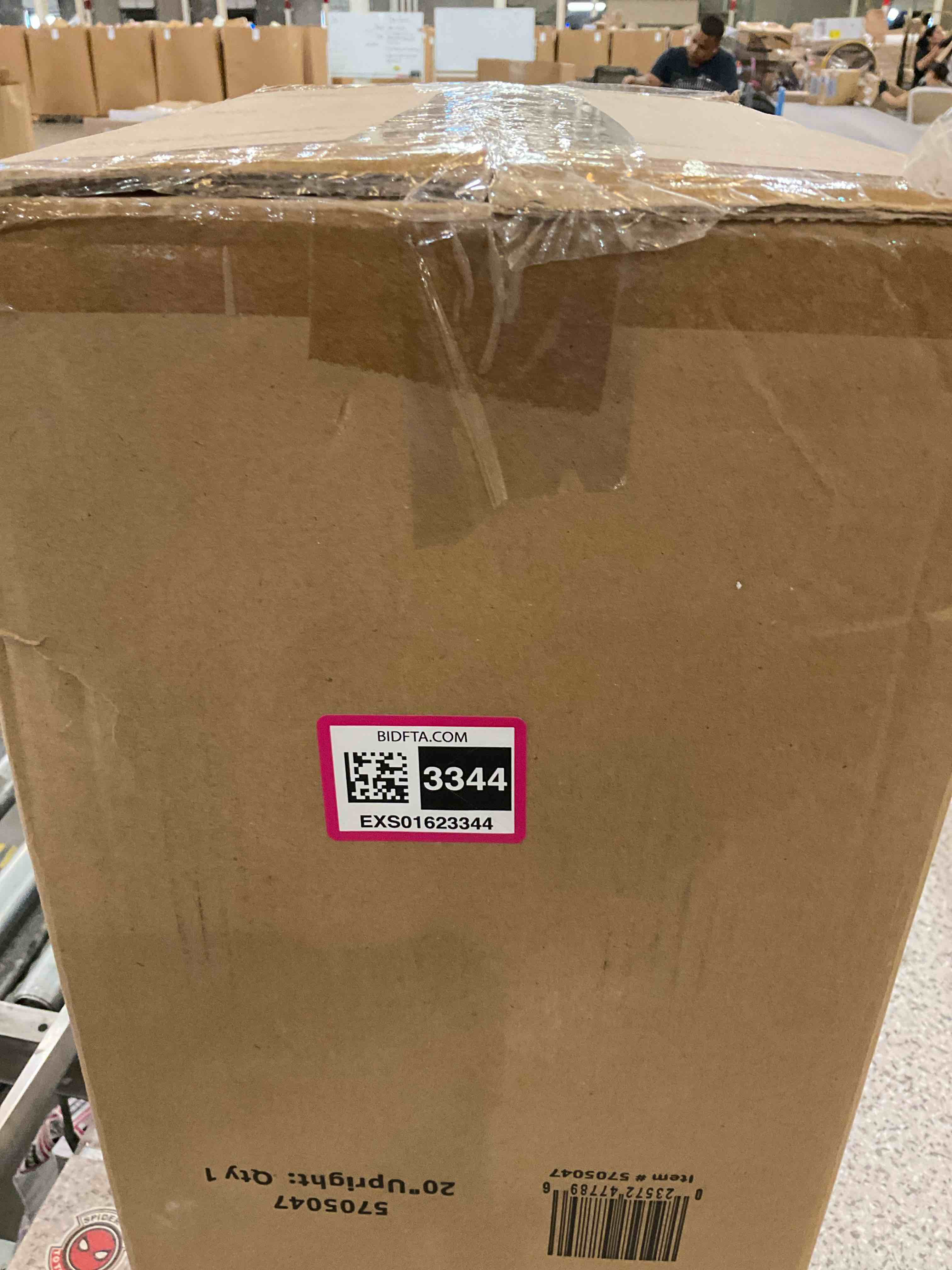 https://s3.amazonaws.com/lotting-images-prod/BargainHunt/EXS01623344_1724174059741.jpeg