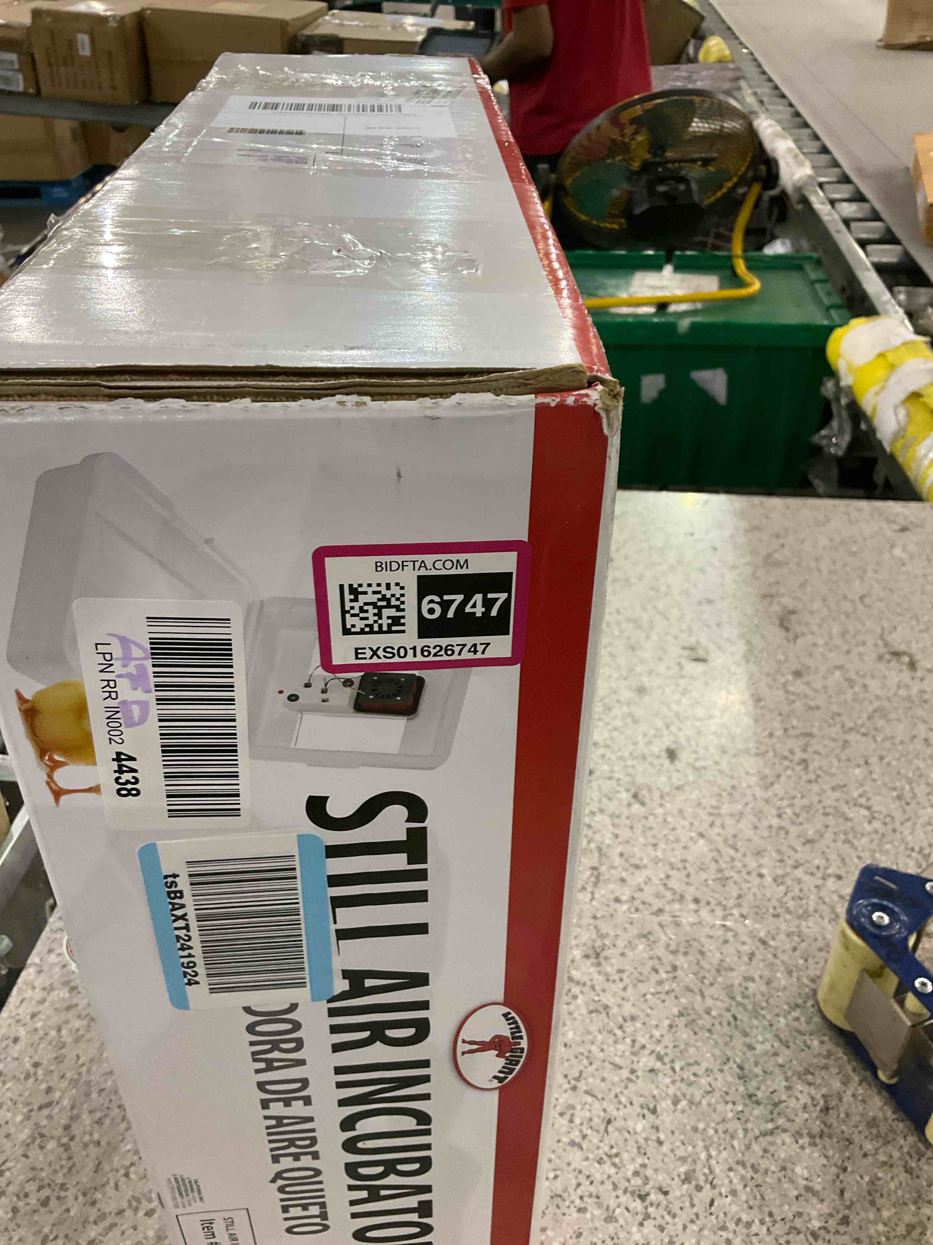 https://s3.amazonaws.com/lotting-images-prod/BargainHunt/EXS01626747_1723552357840.jpeg
