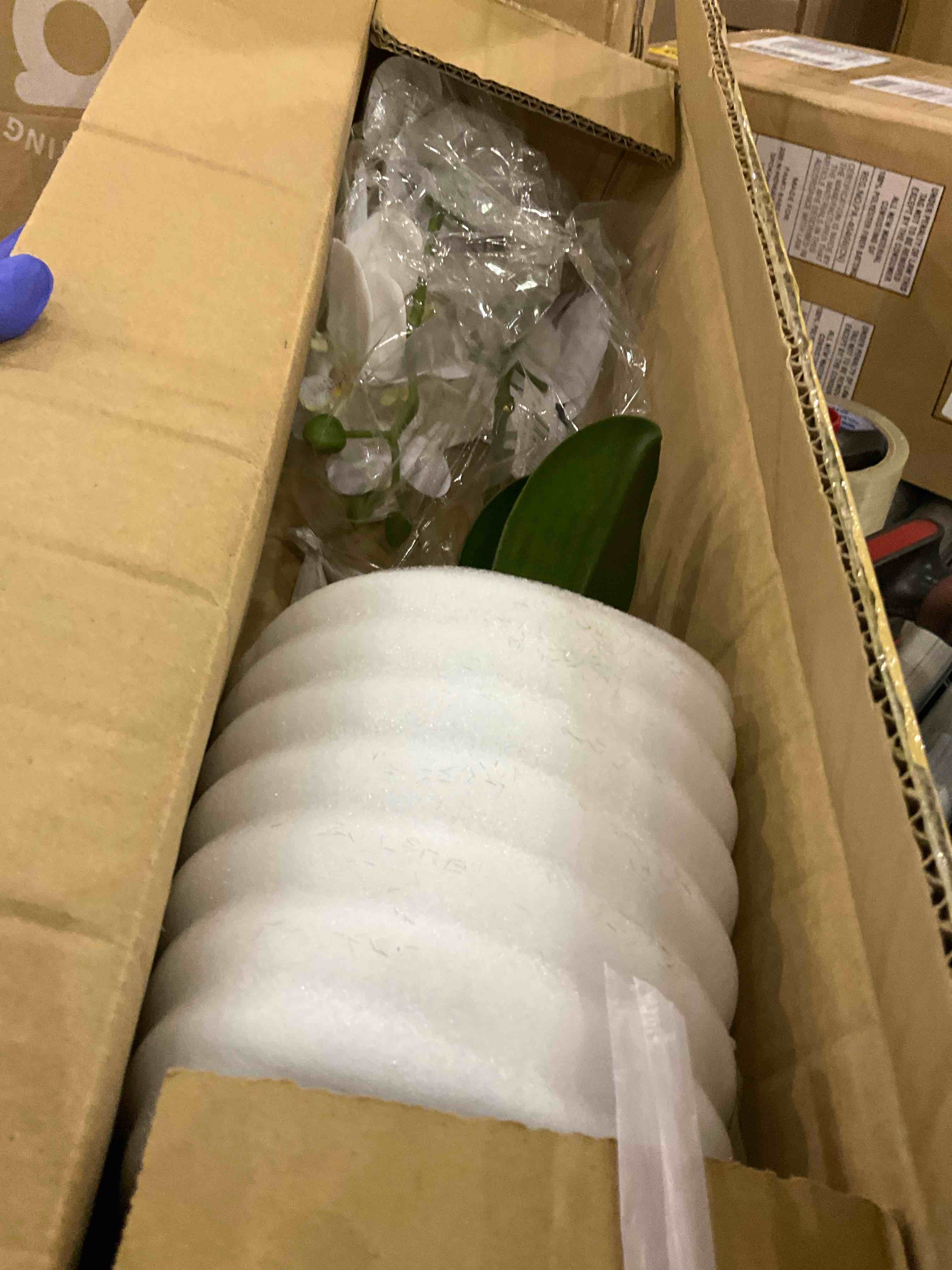 https://s3.amazonaws.com/lotting-images-prod/BargainHunt/EXS01658762_1720610182218.jpeg