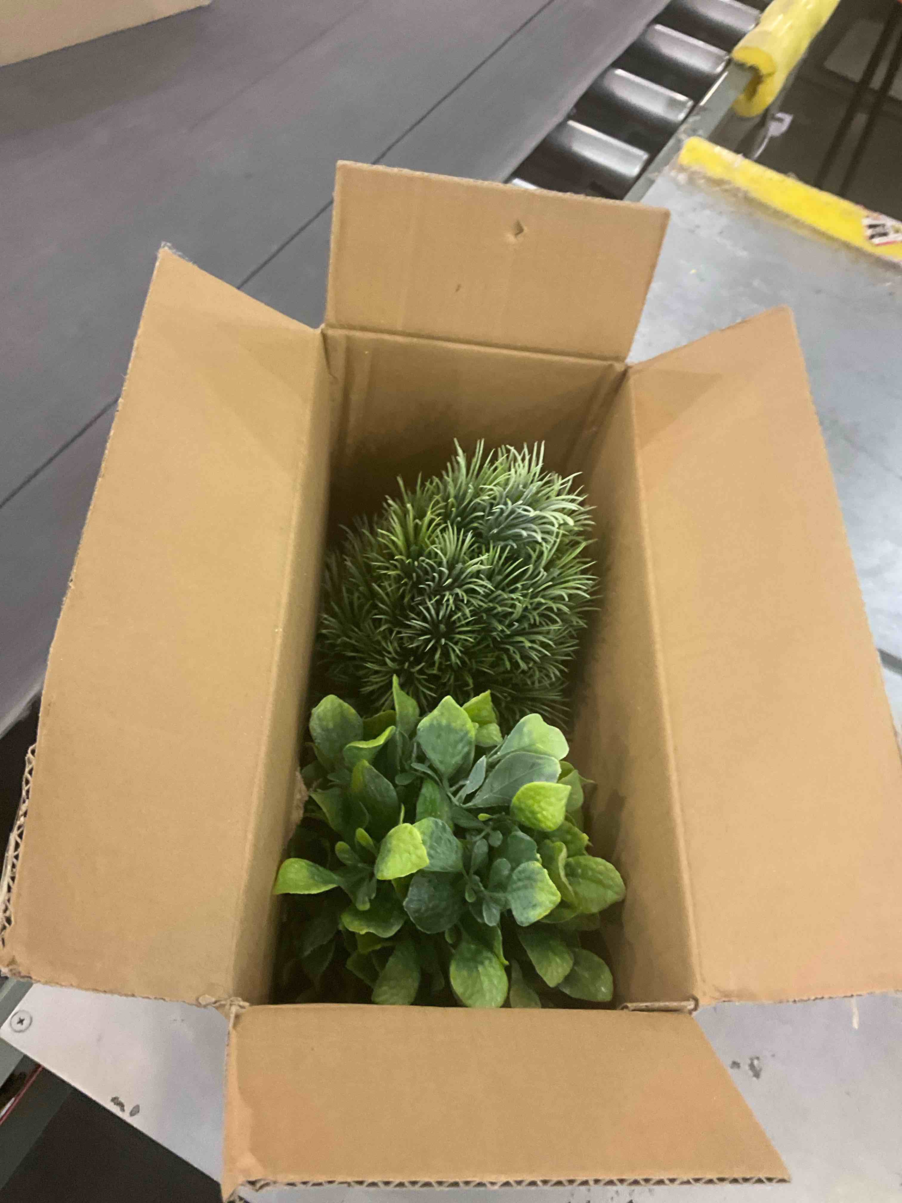 https://s3.amazonaws.com/lotting-images-prod/BargainHunt/EXS01709130_1715003558809.jpeg