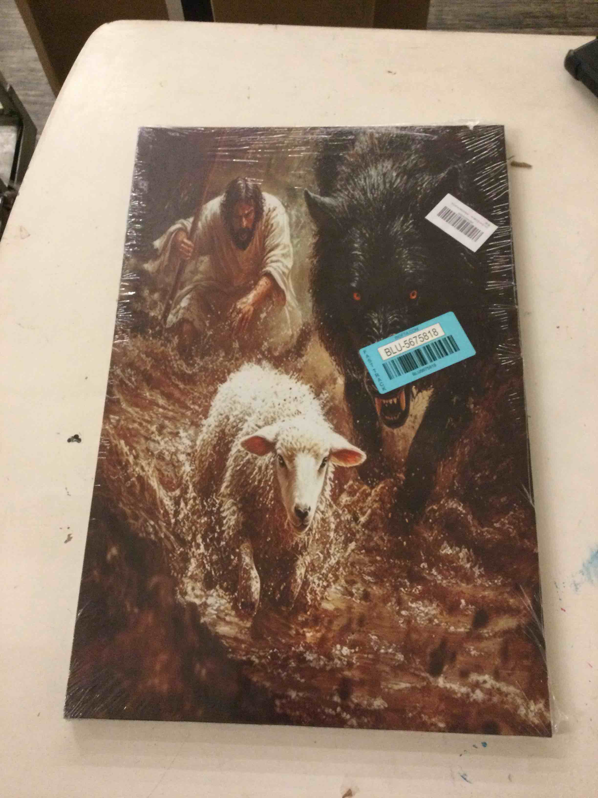 Condition photo showing New/Like New for jesus saves the lamb canvas wall art  