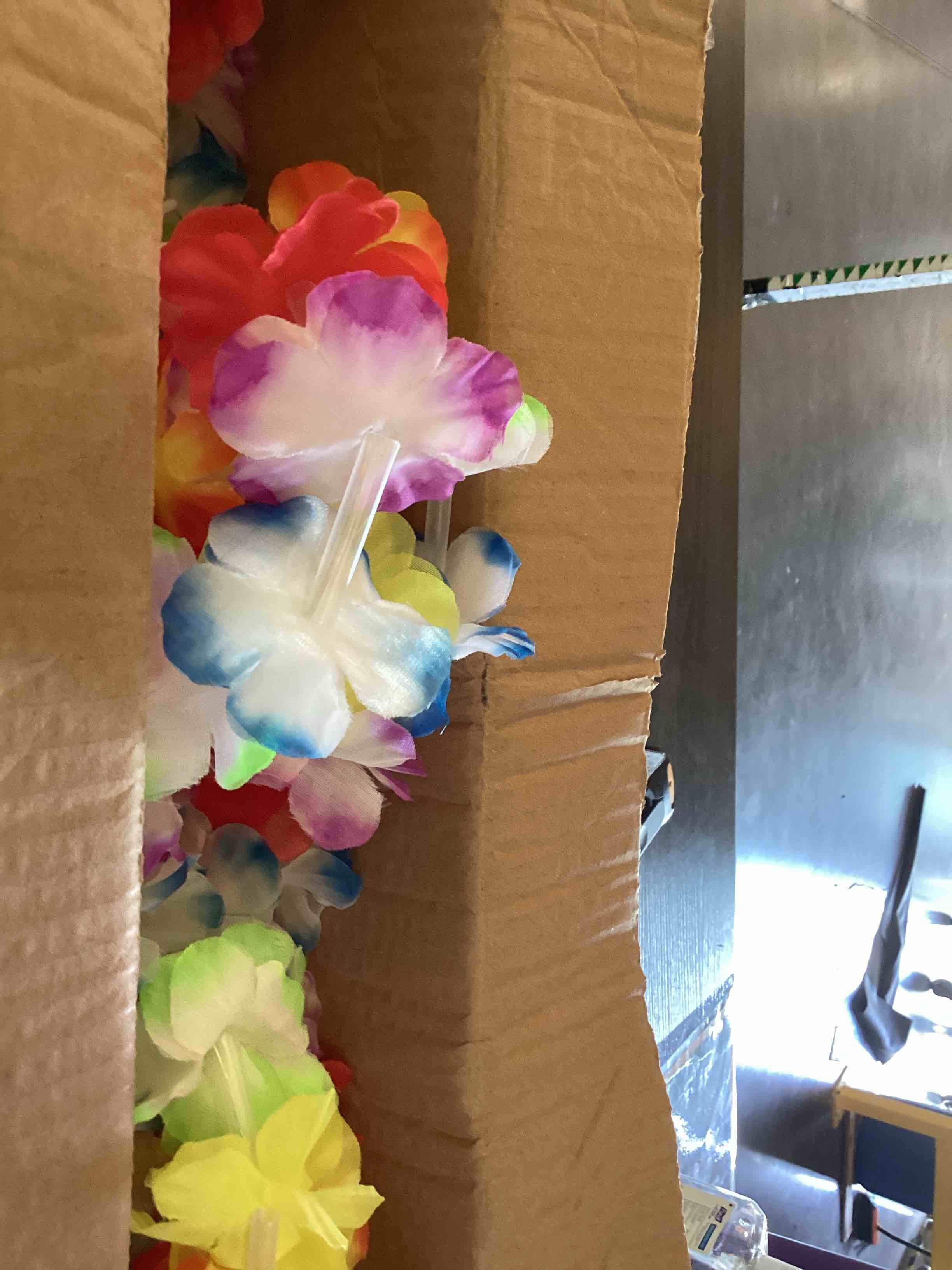 Condition photo showing New/Like New for colorful layla