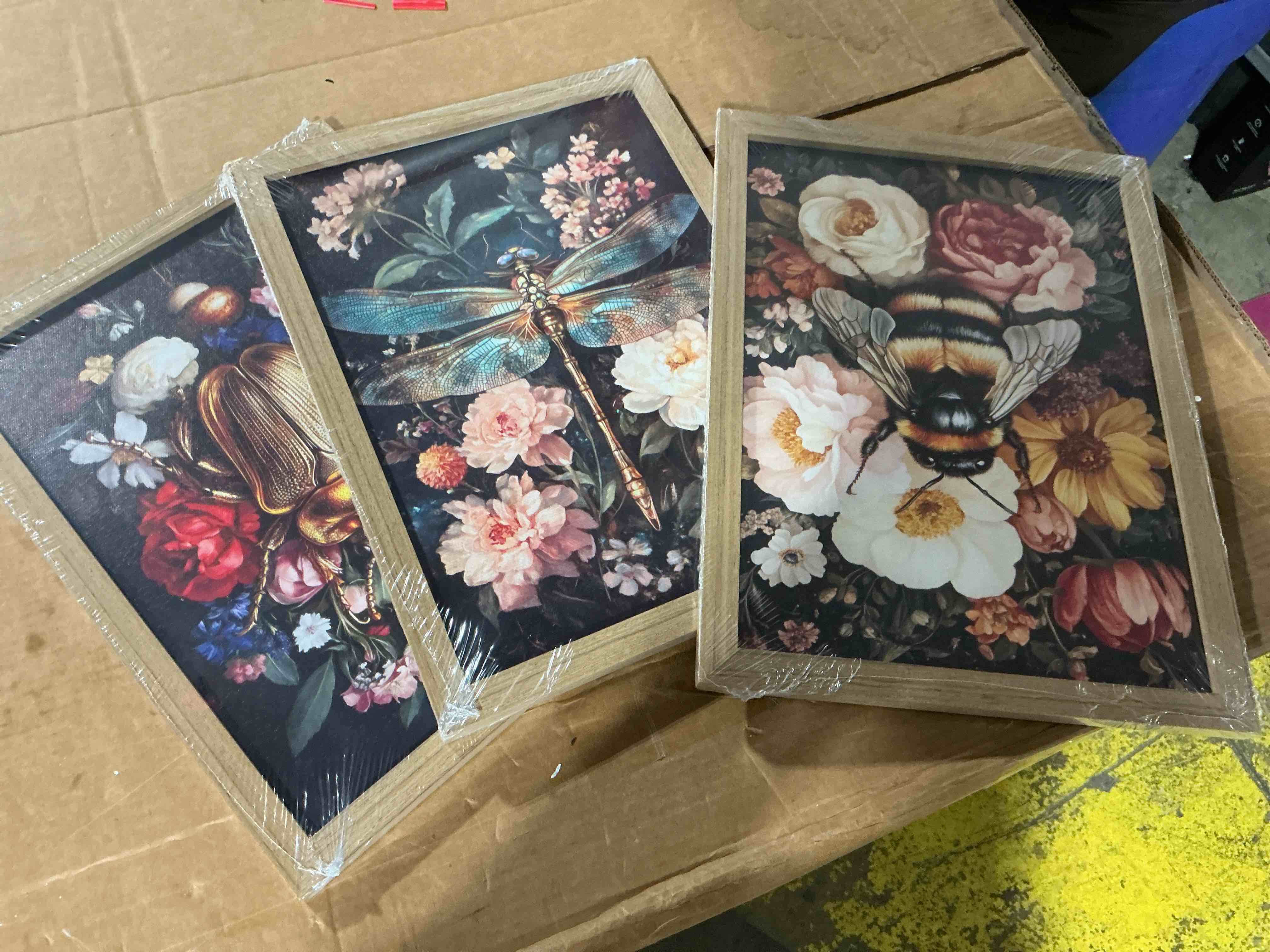 Condition photo showing Good Condition for 3pcs moody insect wall art gothic dragonfly bee posters picture dark college animal canvas wall decor retro golden beetle floral painting prints for living room bedroom home decor wooden framed insect framed 16l"x12w" framed