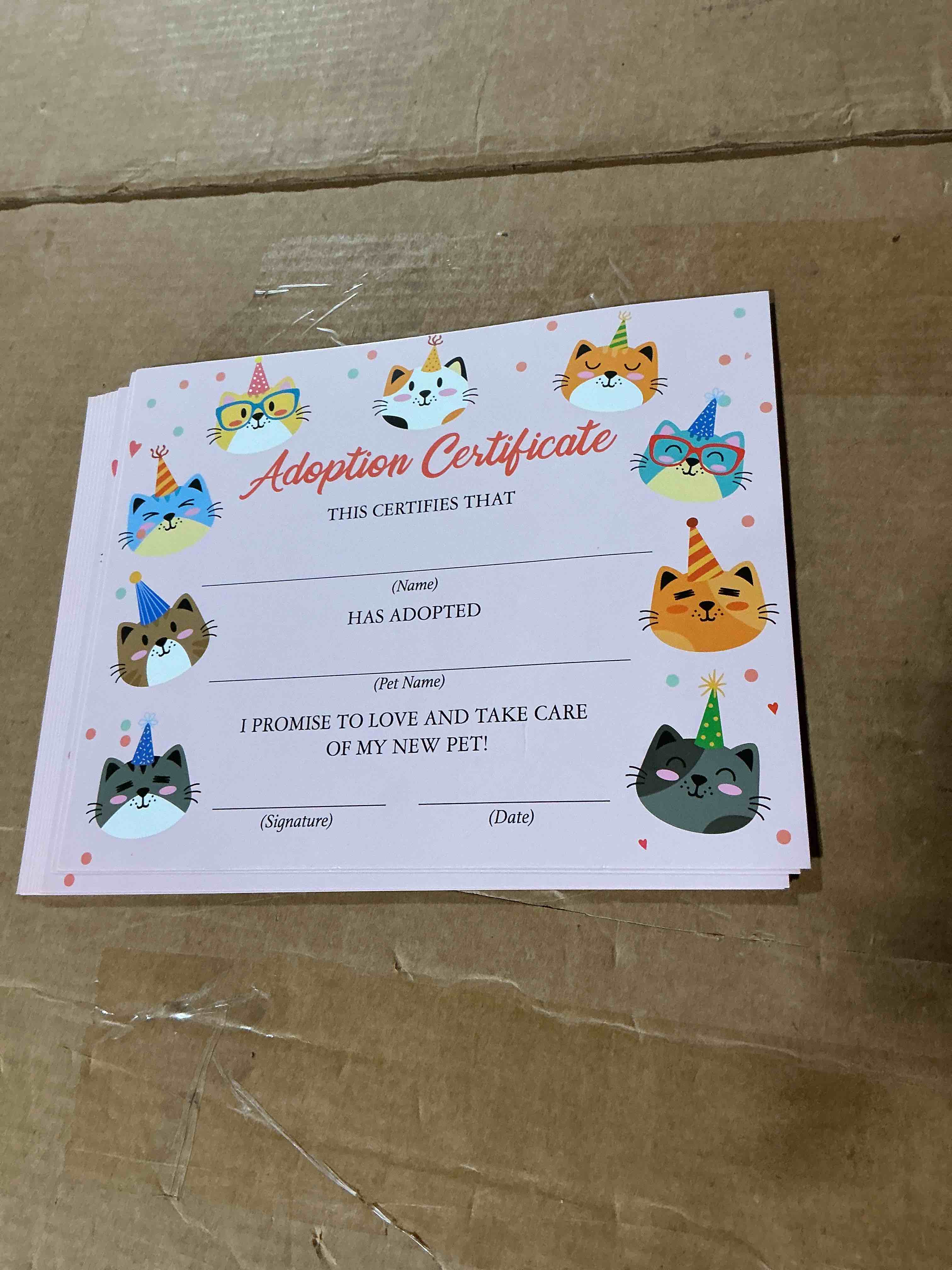 Condition photo showing New/Like New for cat adoption certificate, adopt a cat party favor, pet certificates of adoption, adoption party decorations kitten birthday supplies, 10-counts 