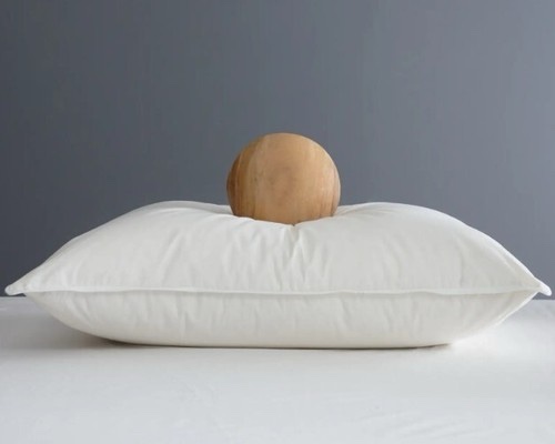 quince premium down pillow