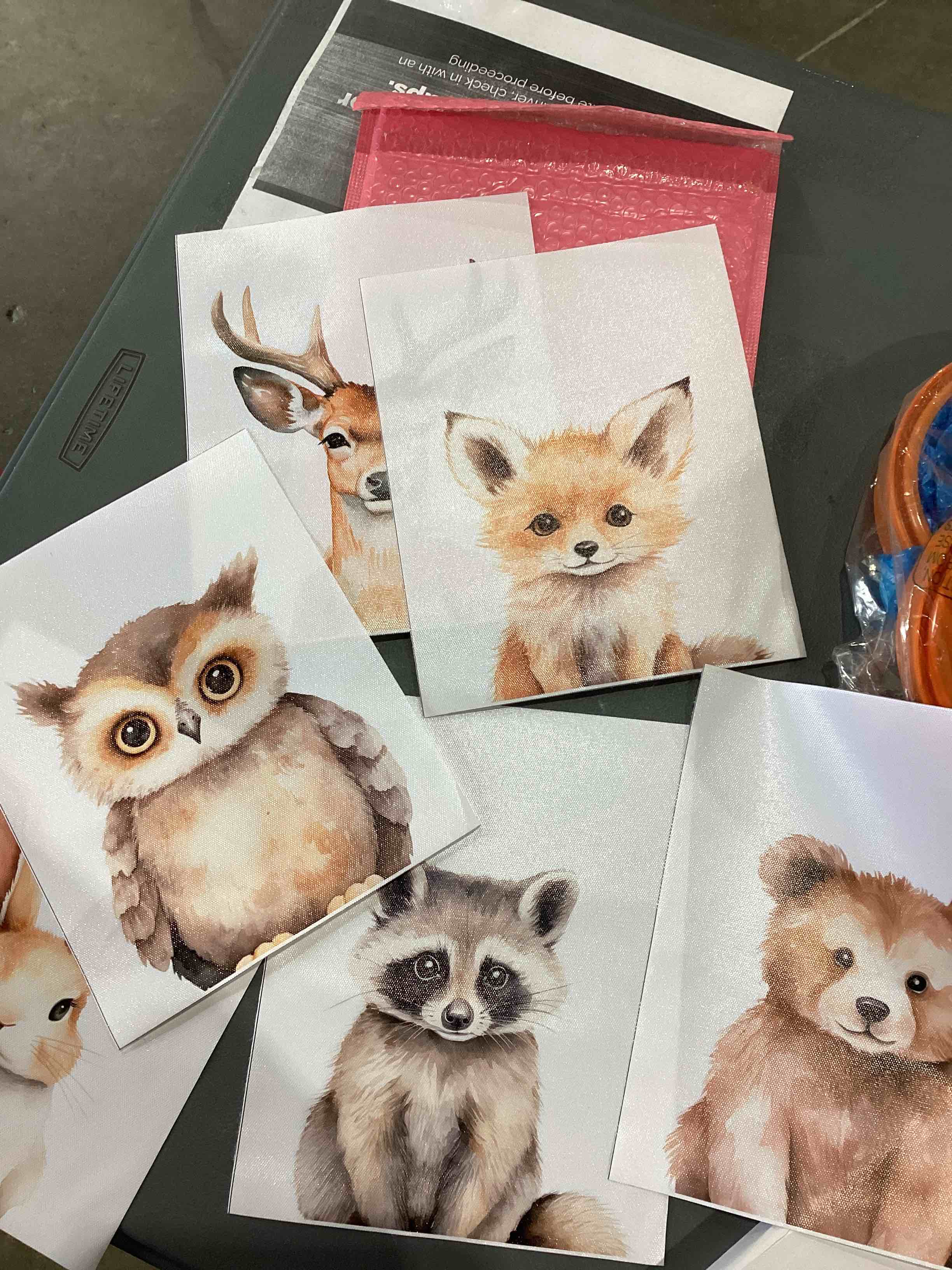 8x10 animal wall art for kids 
