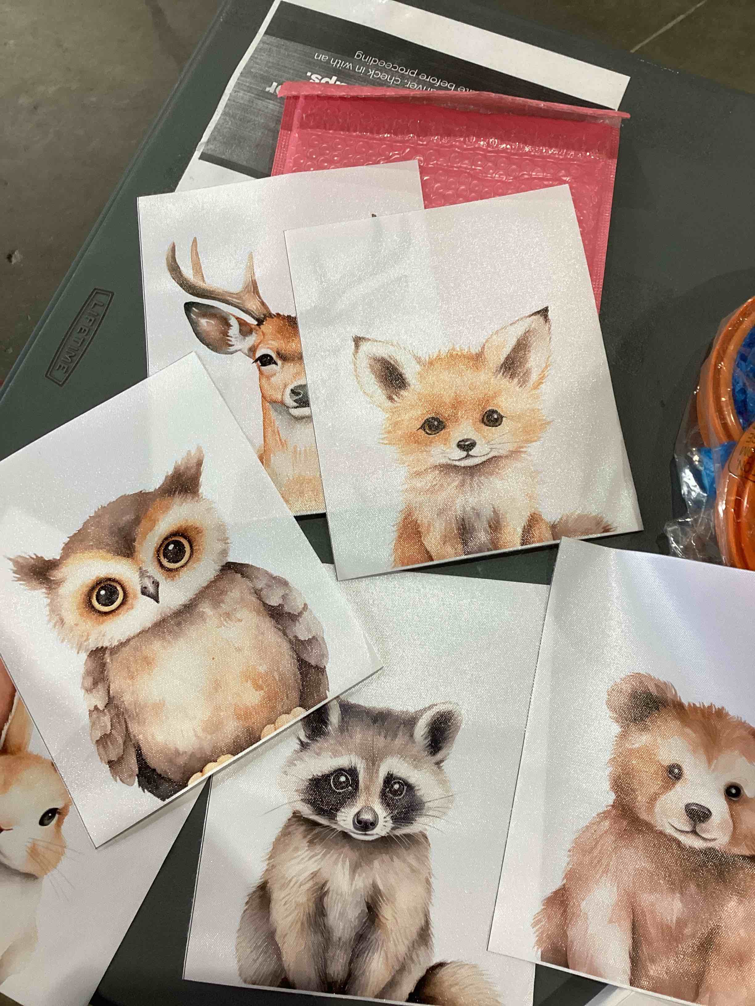 Condition photo showing New/Like New for 8x10 animal wall art for kids