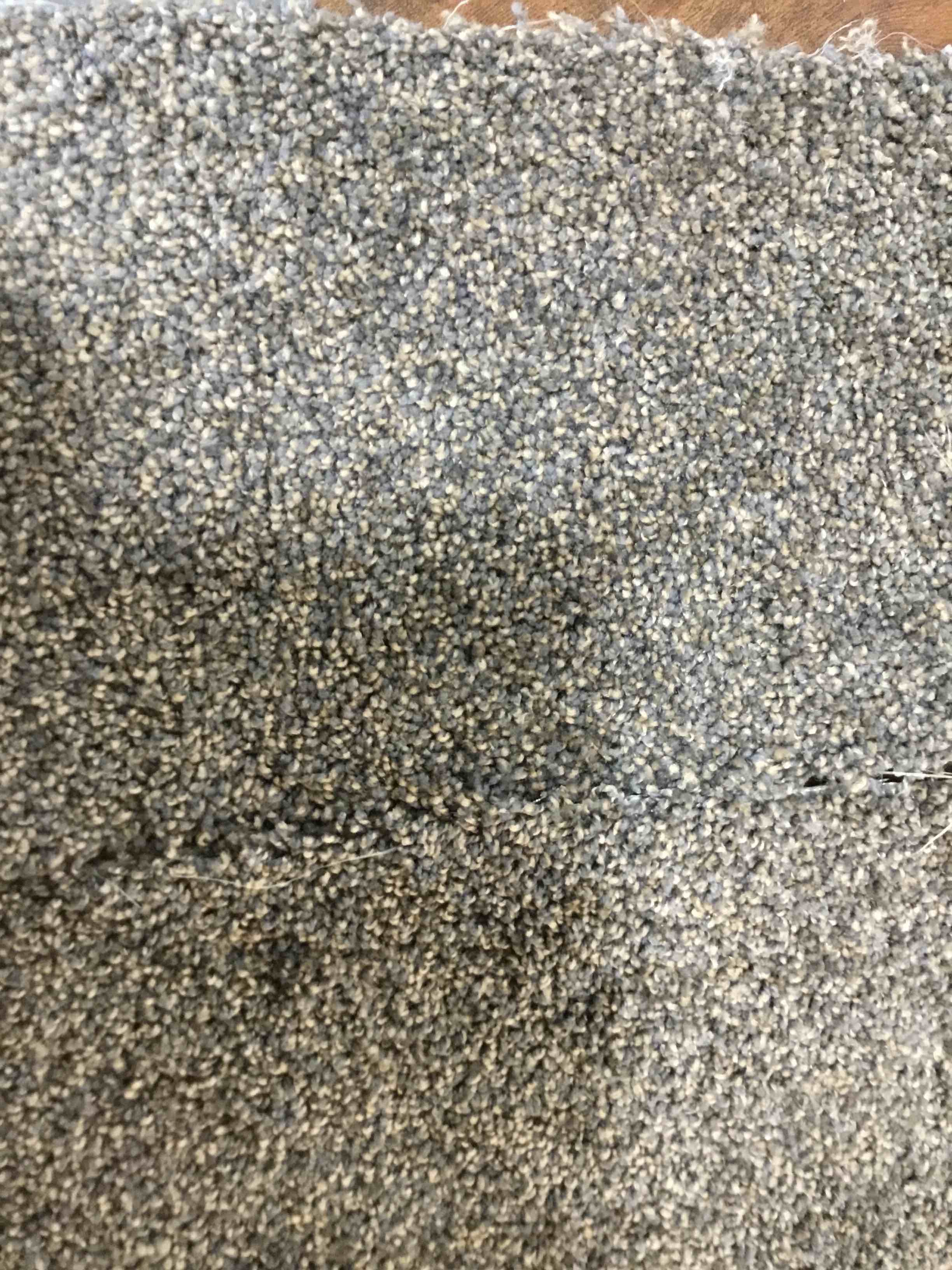 Carpet for less 