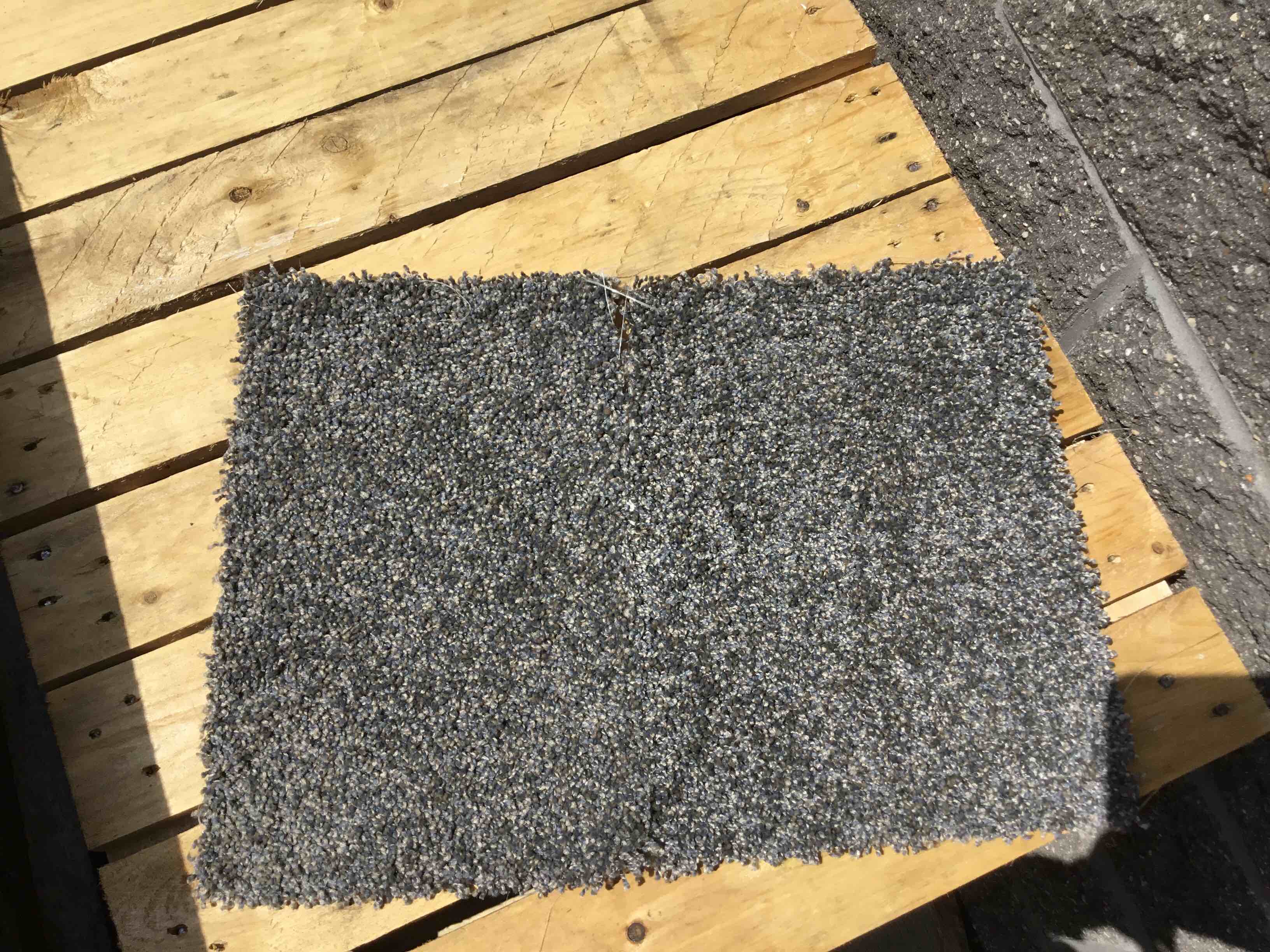 https://s3.amazonaws.com/lotting-images-prod/BlueDreamCarpet_1754420054217.jpeg