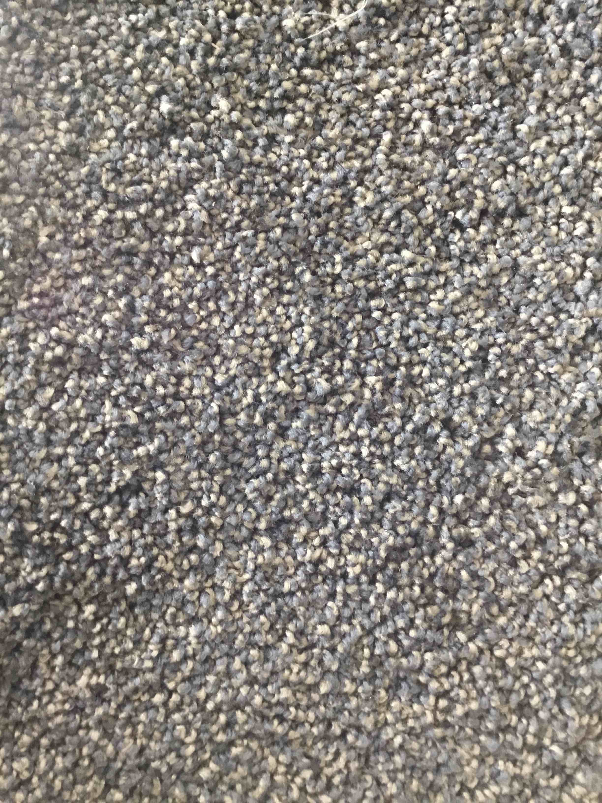 https://s3.amazonaws.com/lotting-images-prod/BlueDreamCarpet_1754420072422.jpeg