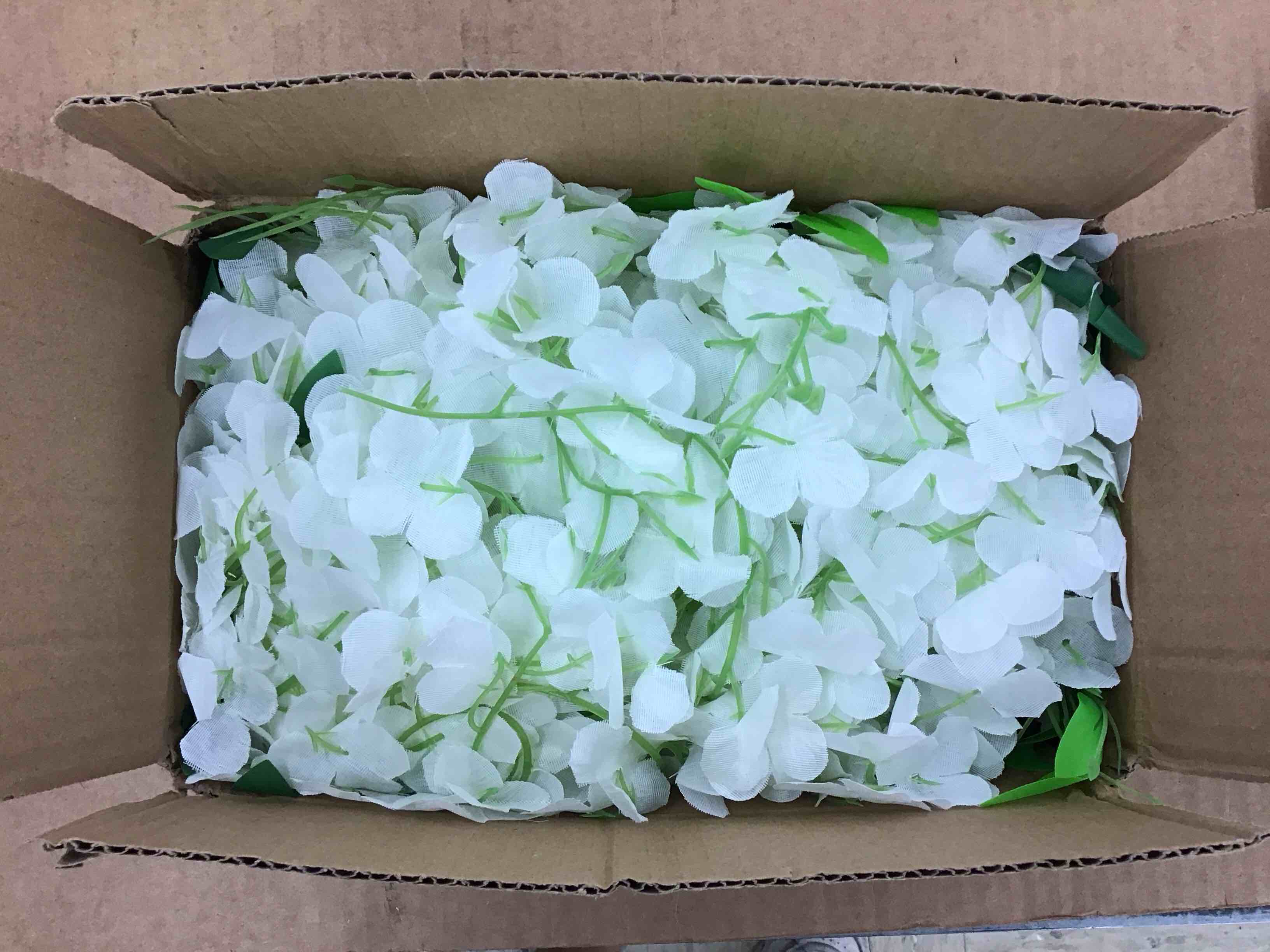 https://s3.amazonaws.com/lotting-images-prod/BoxBids/BXB0500574_1778159148801.jpeg
