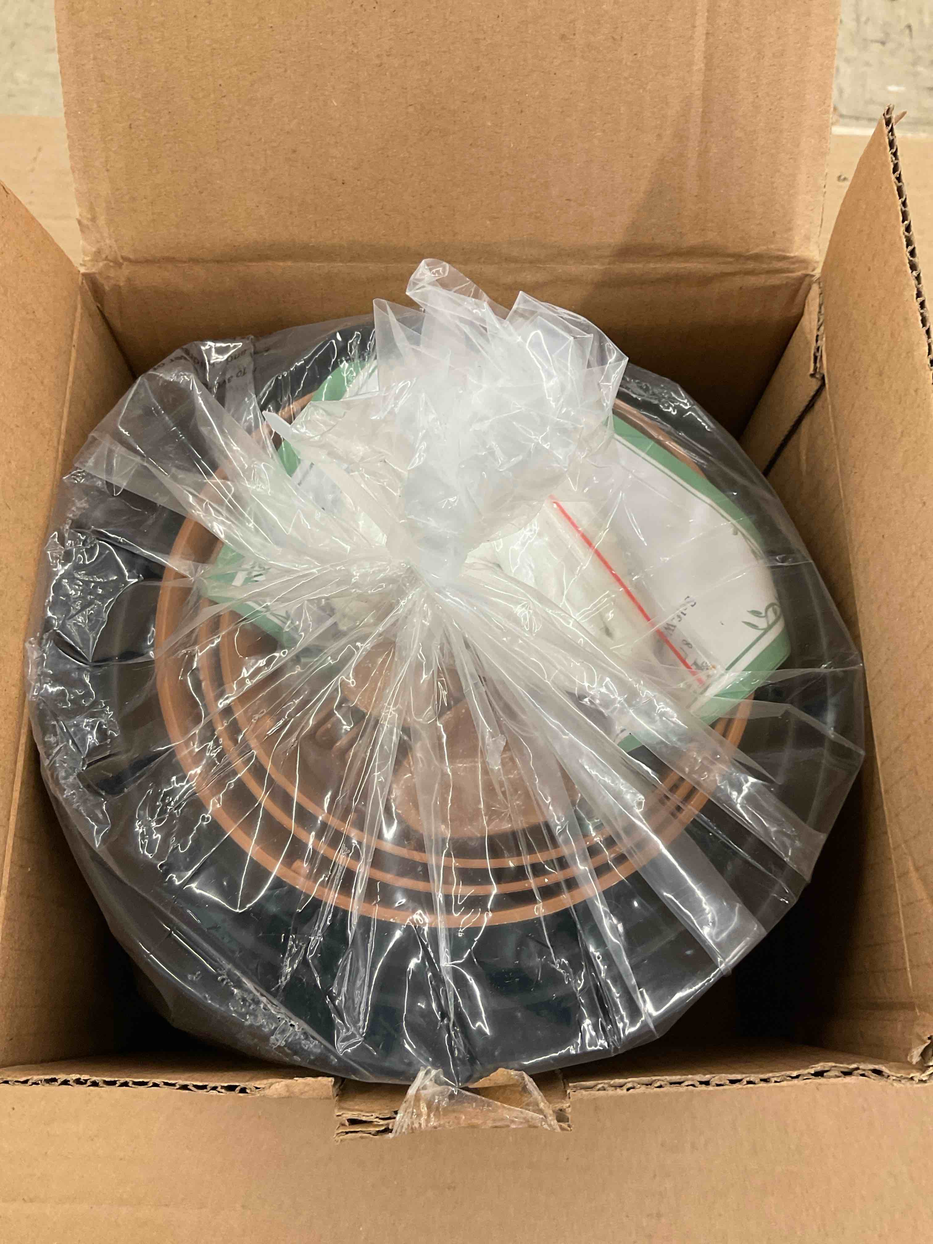 https://s3.amazonaws.com/lotting-images-prod/BoxBids/BXB0500794_1778505523339.jpeg