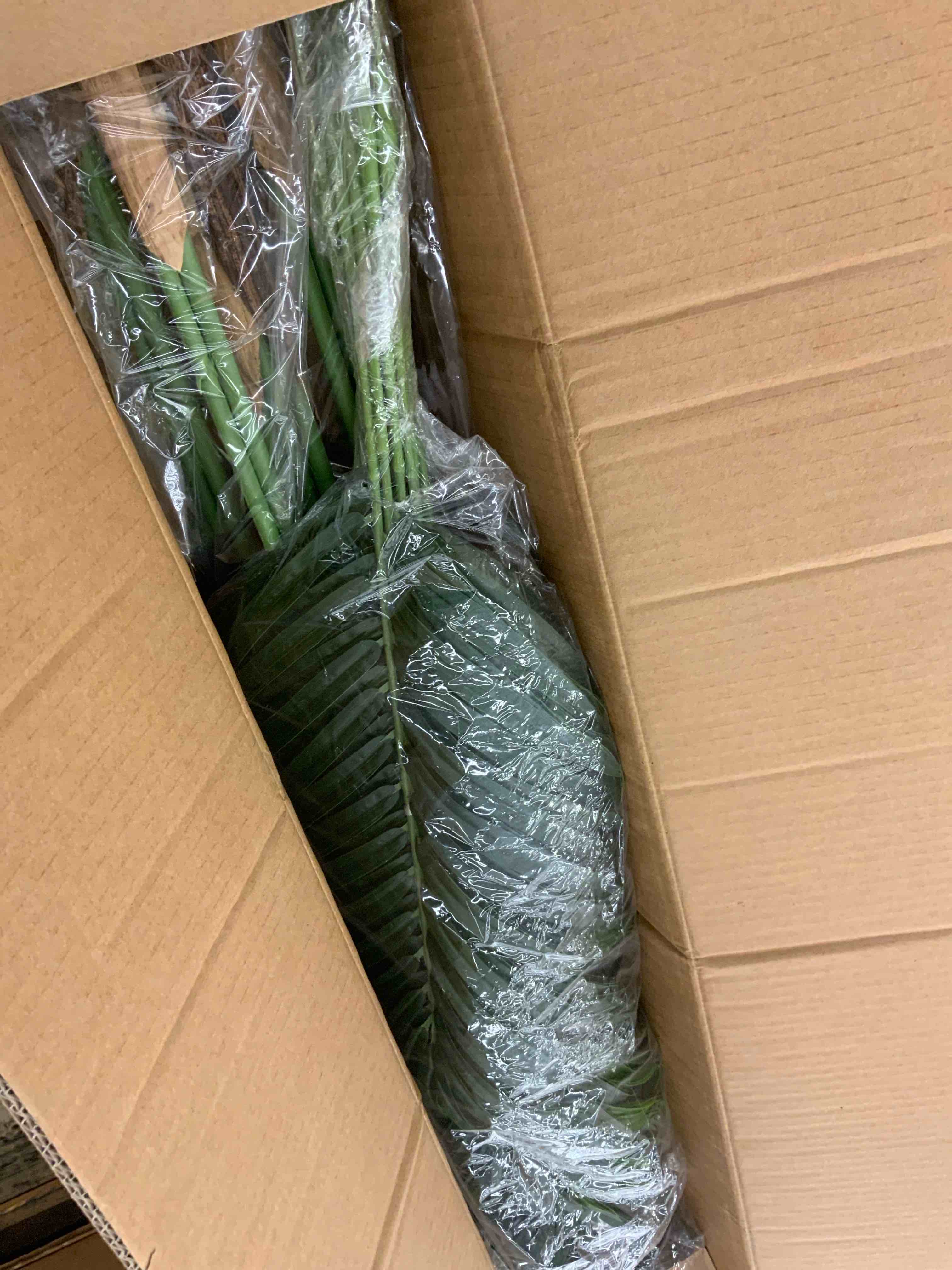 https://s3.amazonaws.com/lotting-images-prod/BoxBids/BXB0600758_1780684011879.jpeg