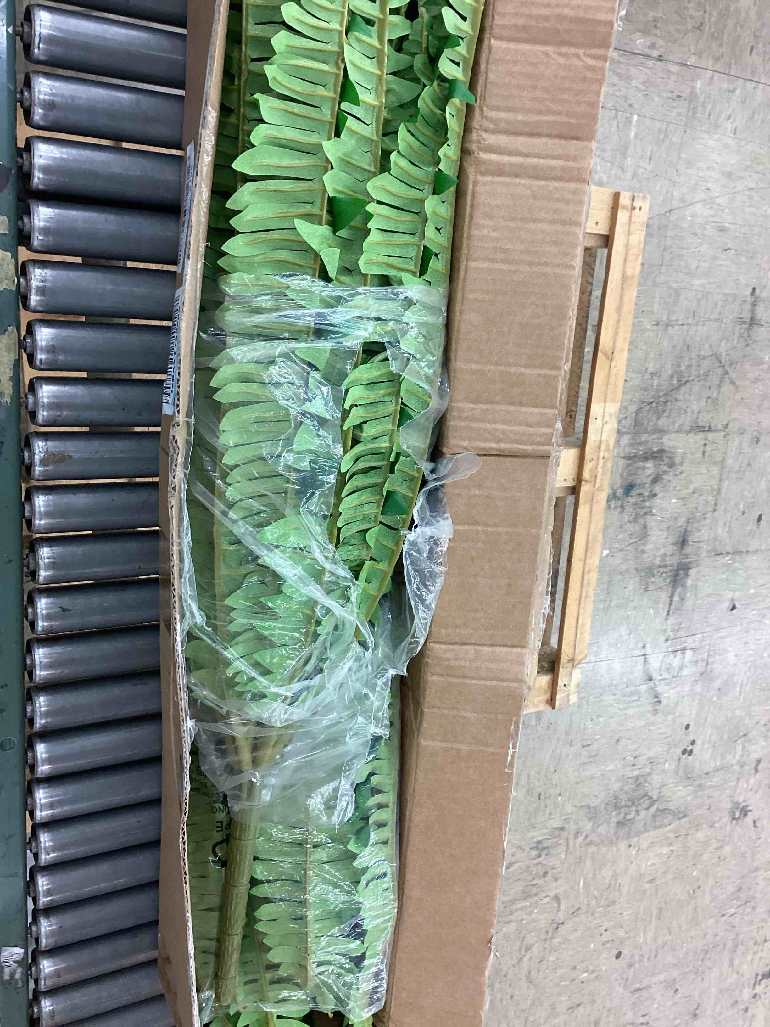 https://s3.amazonaws.com/lotting-images-prod/BoxBids/BXB0601732_1780672092826.jpeg