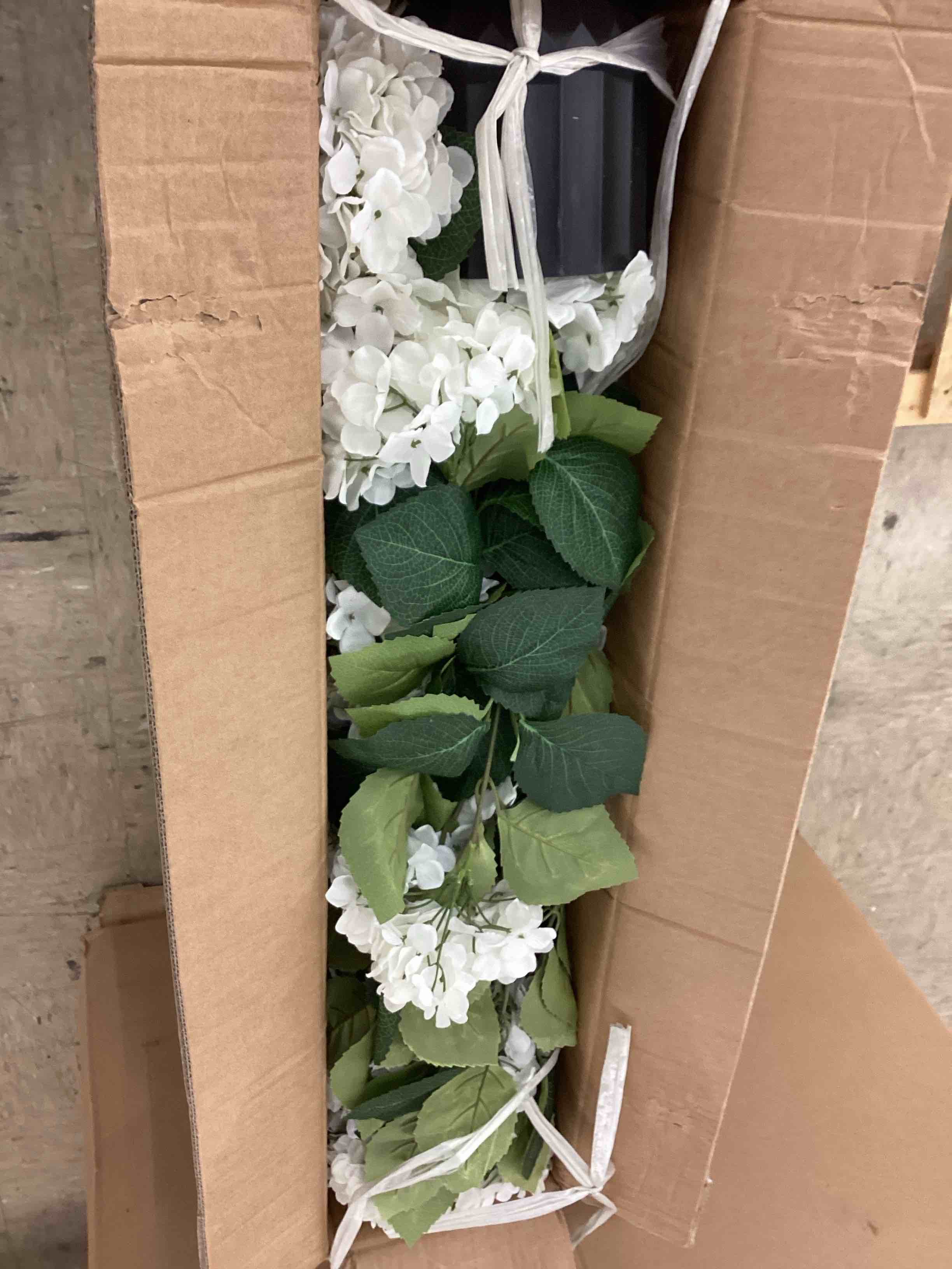 https://s3.amazonaws.com/lotting-images-prod/BoxBids/BXB0601735_1780673112405.jpeg
