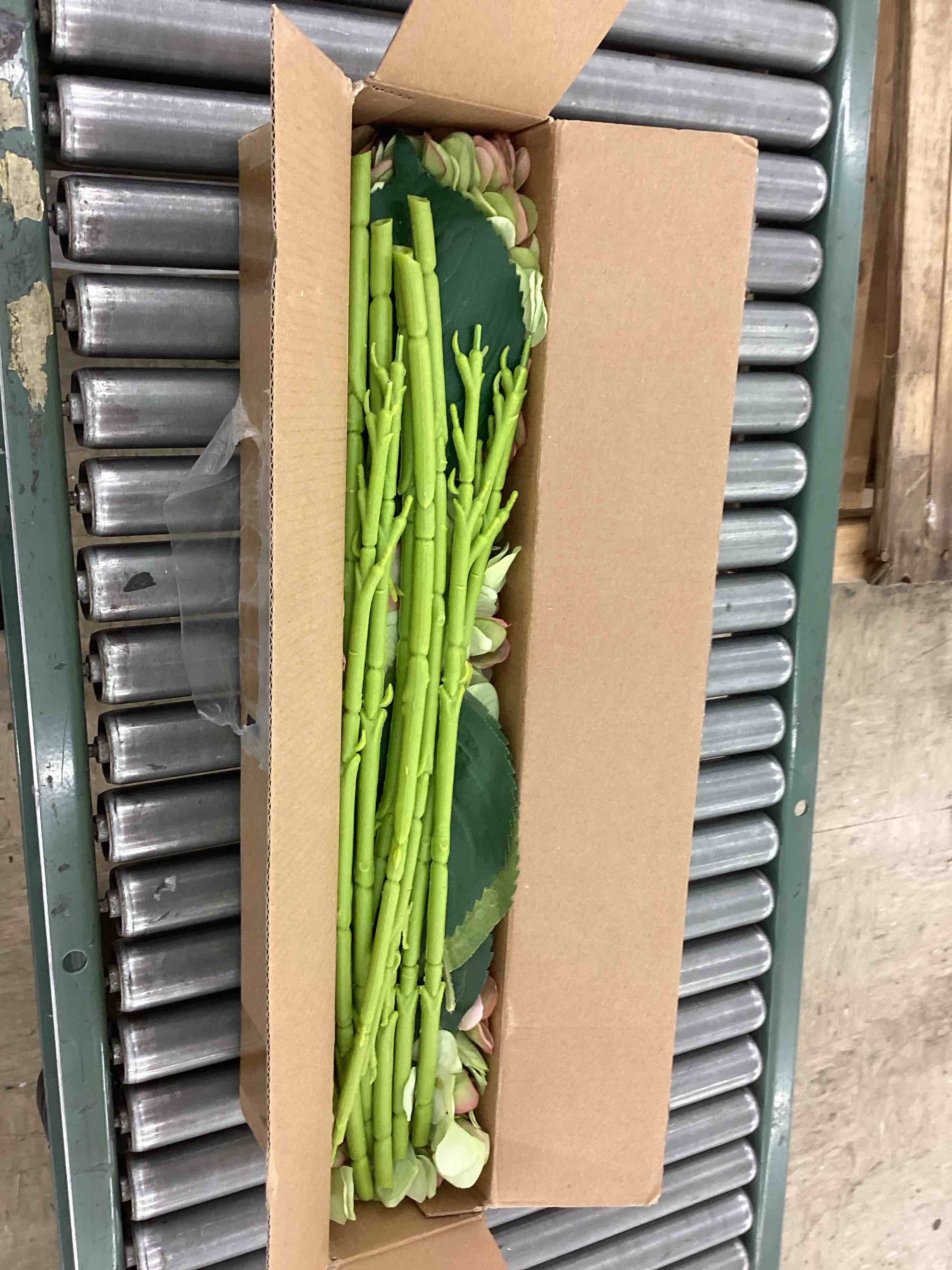 https://s3.amazonaws.com/lotting-images-prod/BoxBids/BXB0603395_1781642512101.jpeg