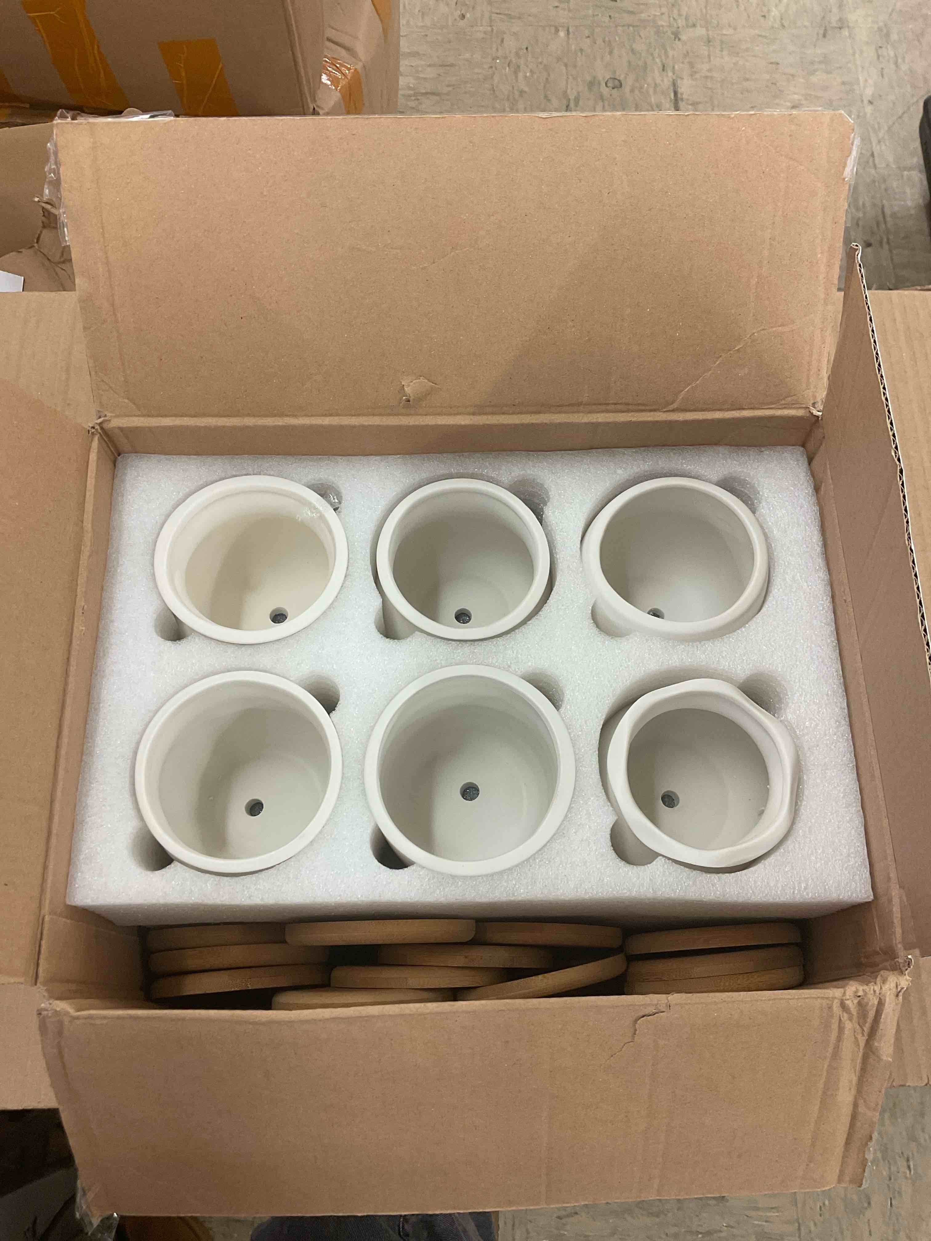 https://s3.amazonaws.com/lotting-images-prod/BoxBids/PPE2248058_1770149488997.jpeg
