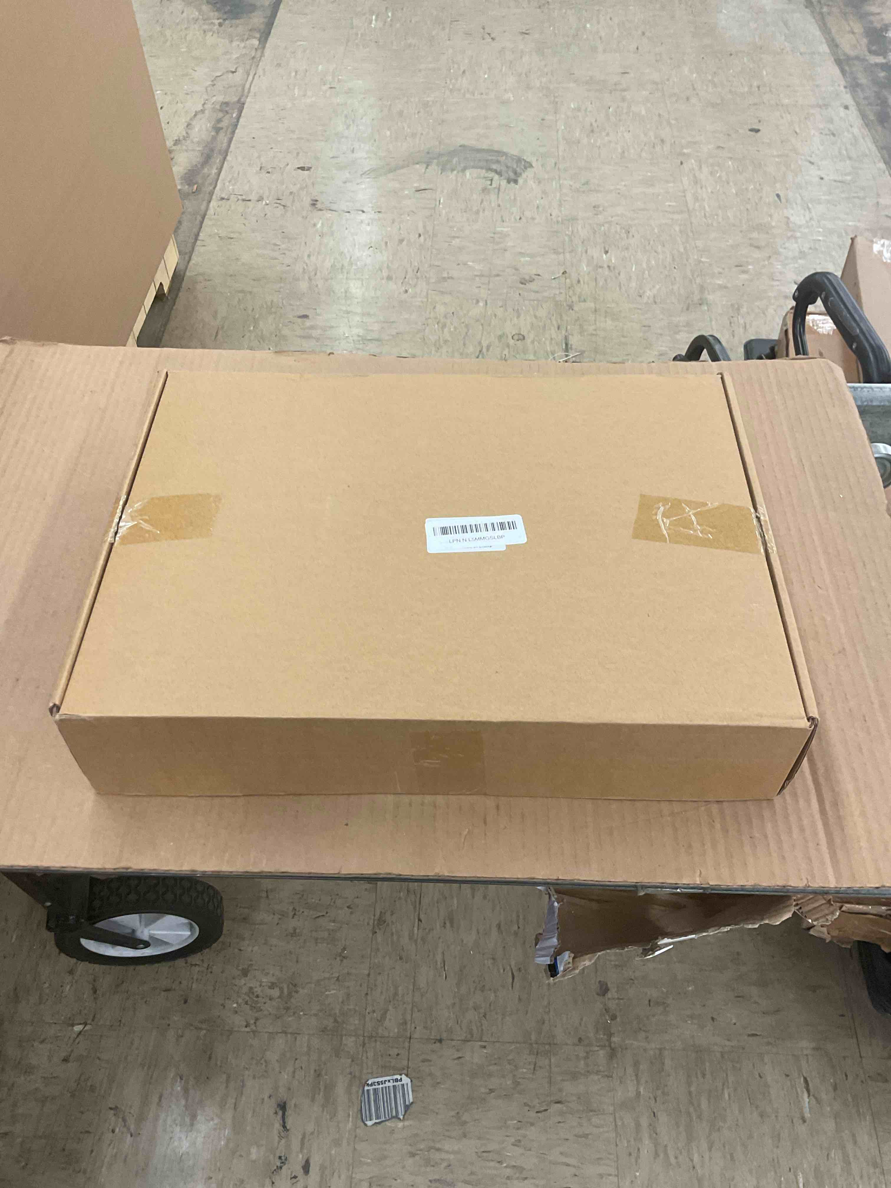 https://s3.amazonaws.com/lotting-images-prod/BoxBids/PPE2248156_1770217676277.jpeg