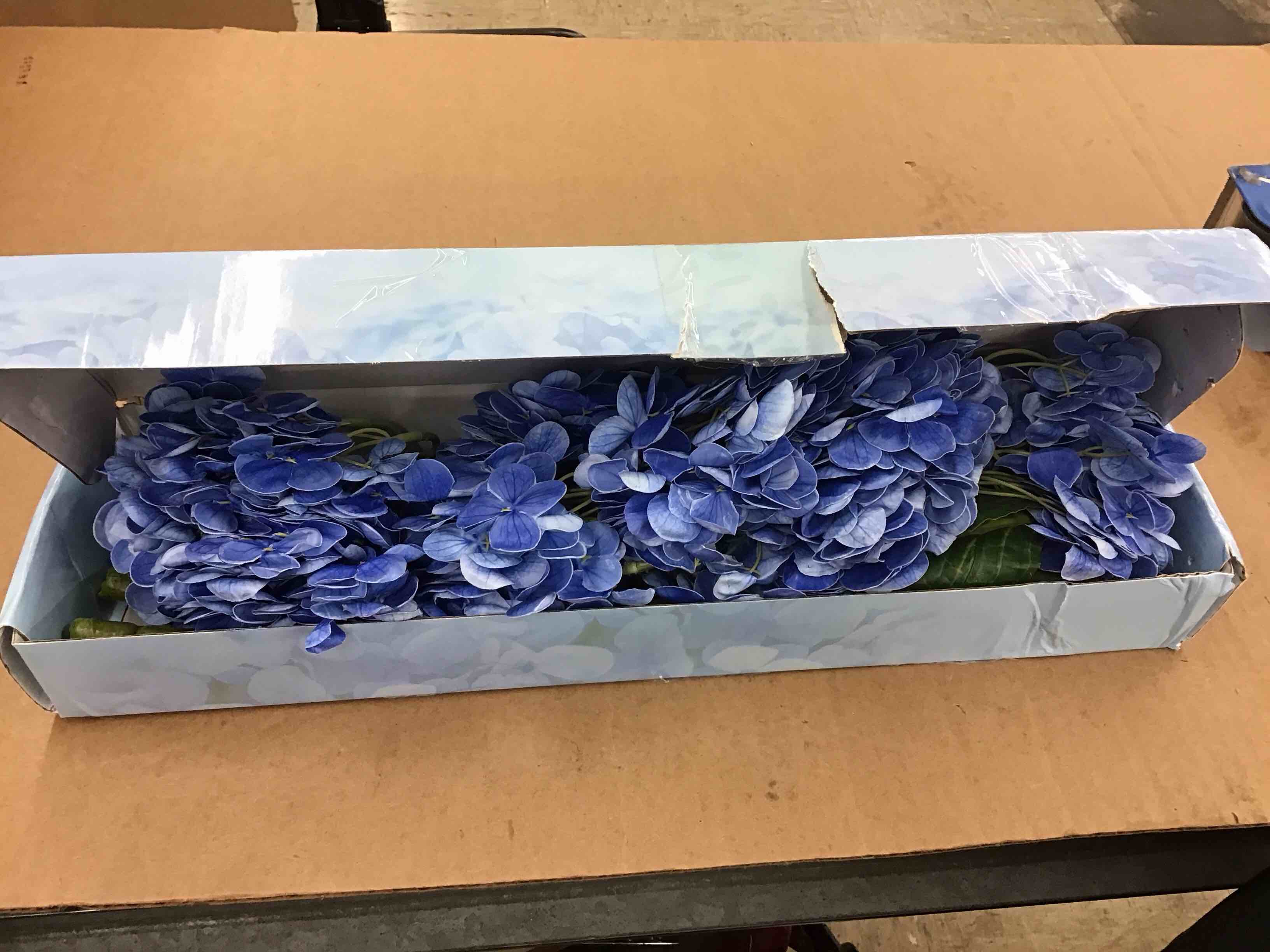 https://s3.amazonaws.com/lotting-images-prod/BoxBids/PPE2248405_1774381884765.jpeg