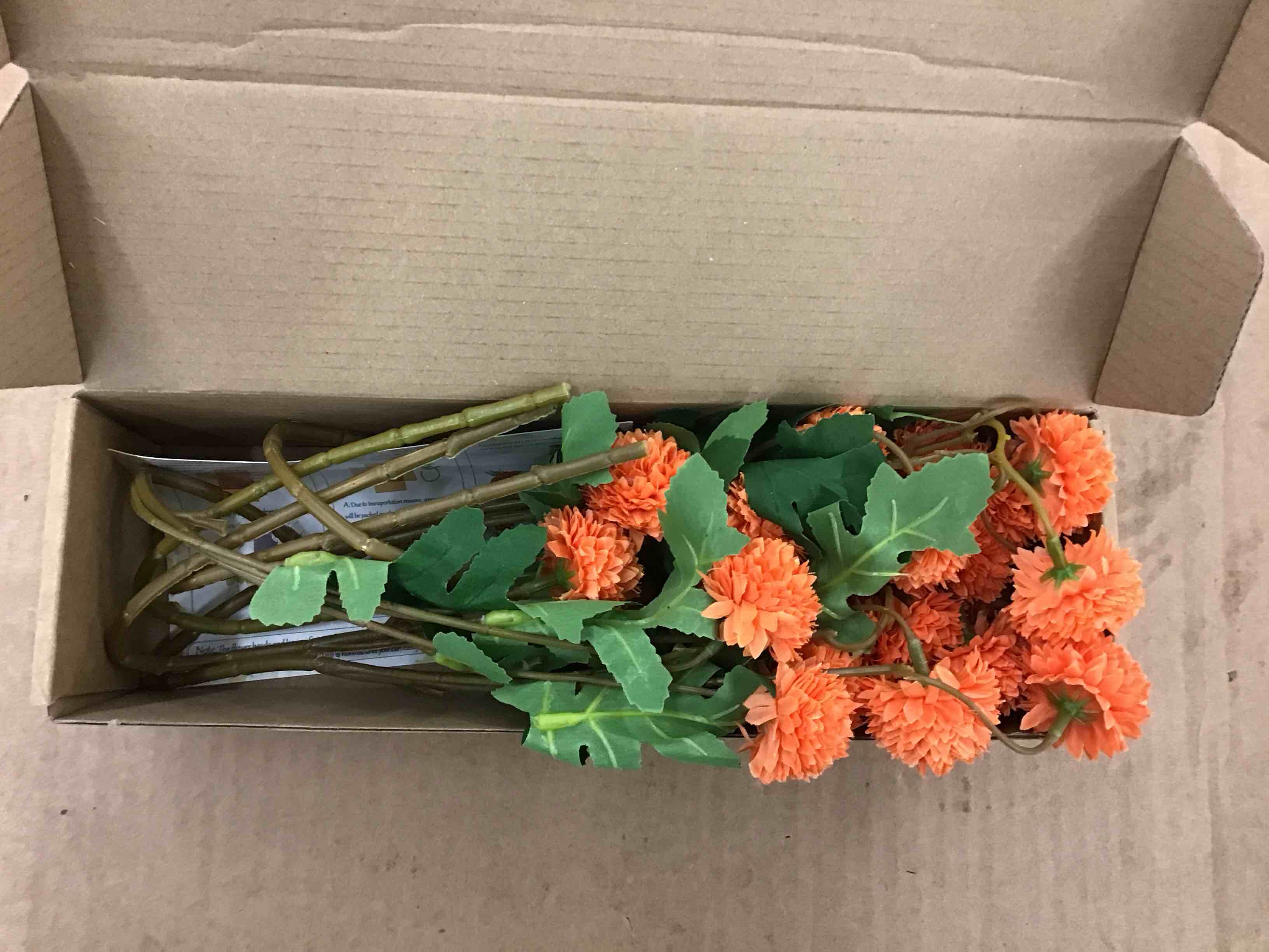 https://s3.amazonaws.com/lotting-images-prod/BoxBids/PPE2248595_1774621142680.jpeg