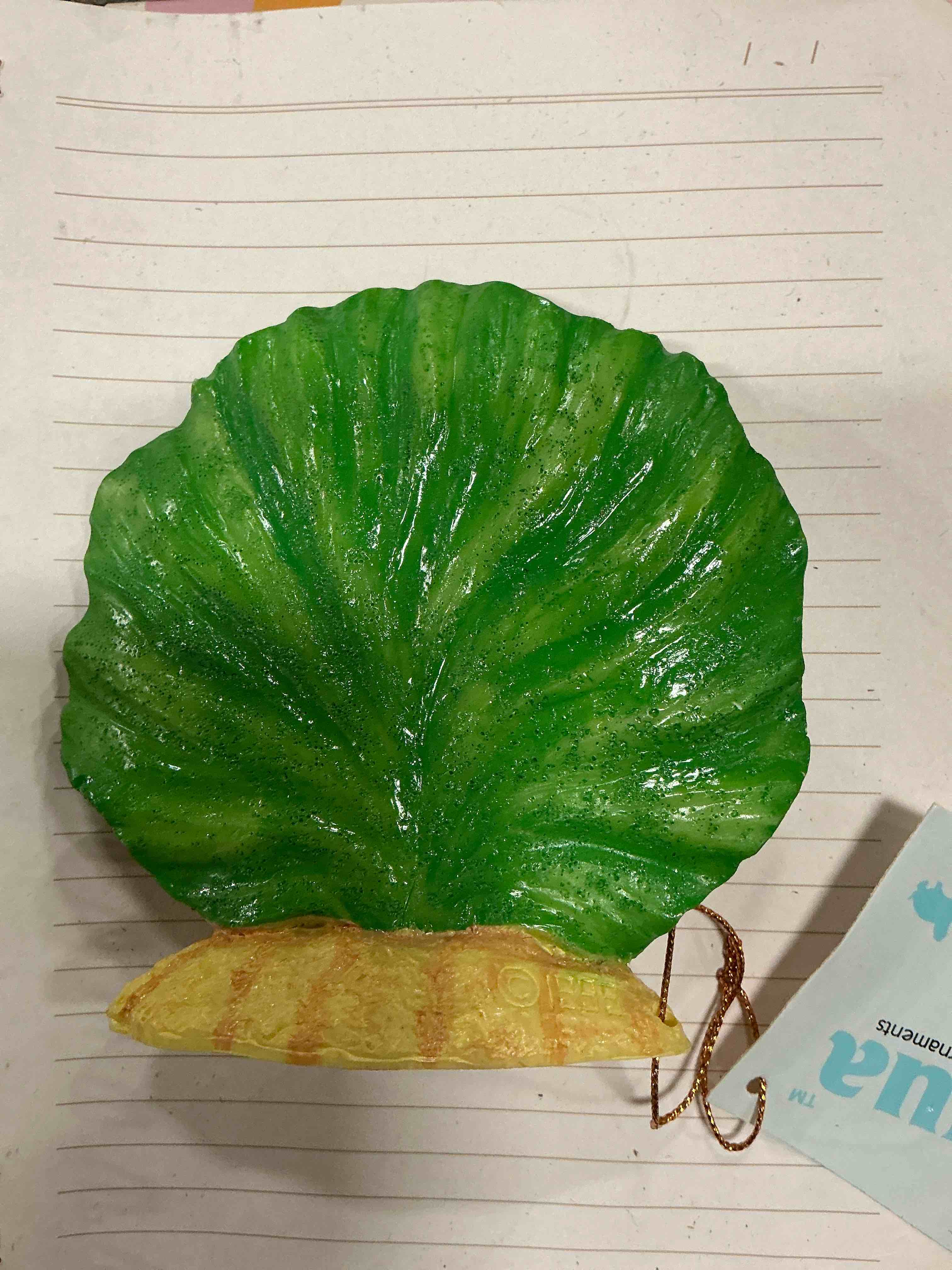 https://s3.amazonaws.com/lotting-images-prod/Conchacaballito_1751980115970.jpeg