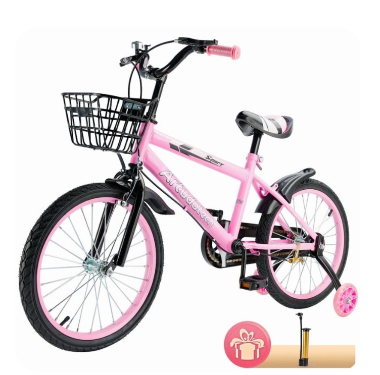 Kids Bike for Ages 3-10 Years Old Boys Girls, 14/16/18 Inch Kid's Bikes with Training Wheels, Basket, Dual Brake, Children Bicycle for Kids and Toddler Beginners, Pink/Red