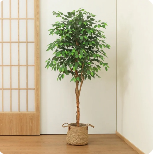 DR.Planzen 6 feet Artificial Ficus Tree, Tall Lifelike Greenery with Natural Wood Trunk for Living Room, office floor and corner decor