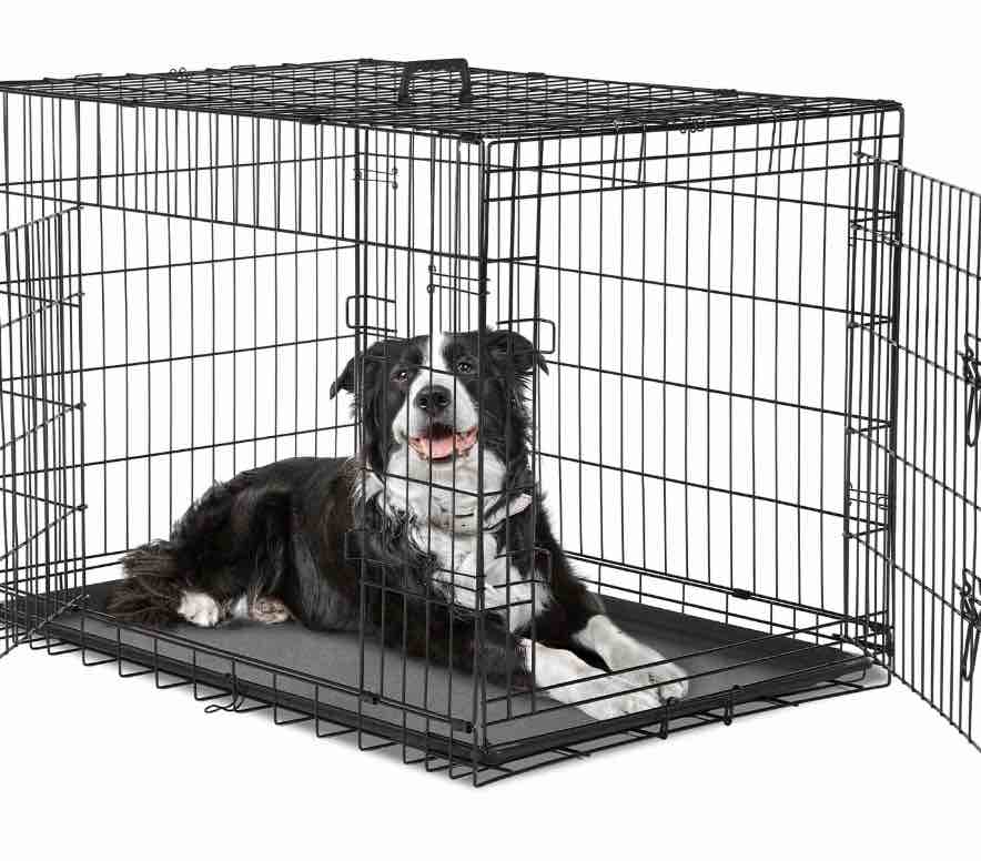 EDX Medium Dog Crate with Divider Panel, 36" Double Door Folding Metal Wire Dog Cage with Plastic Leak-Proof Pan Tray